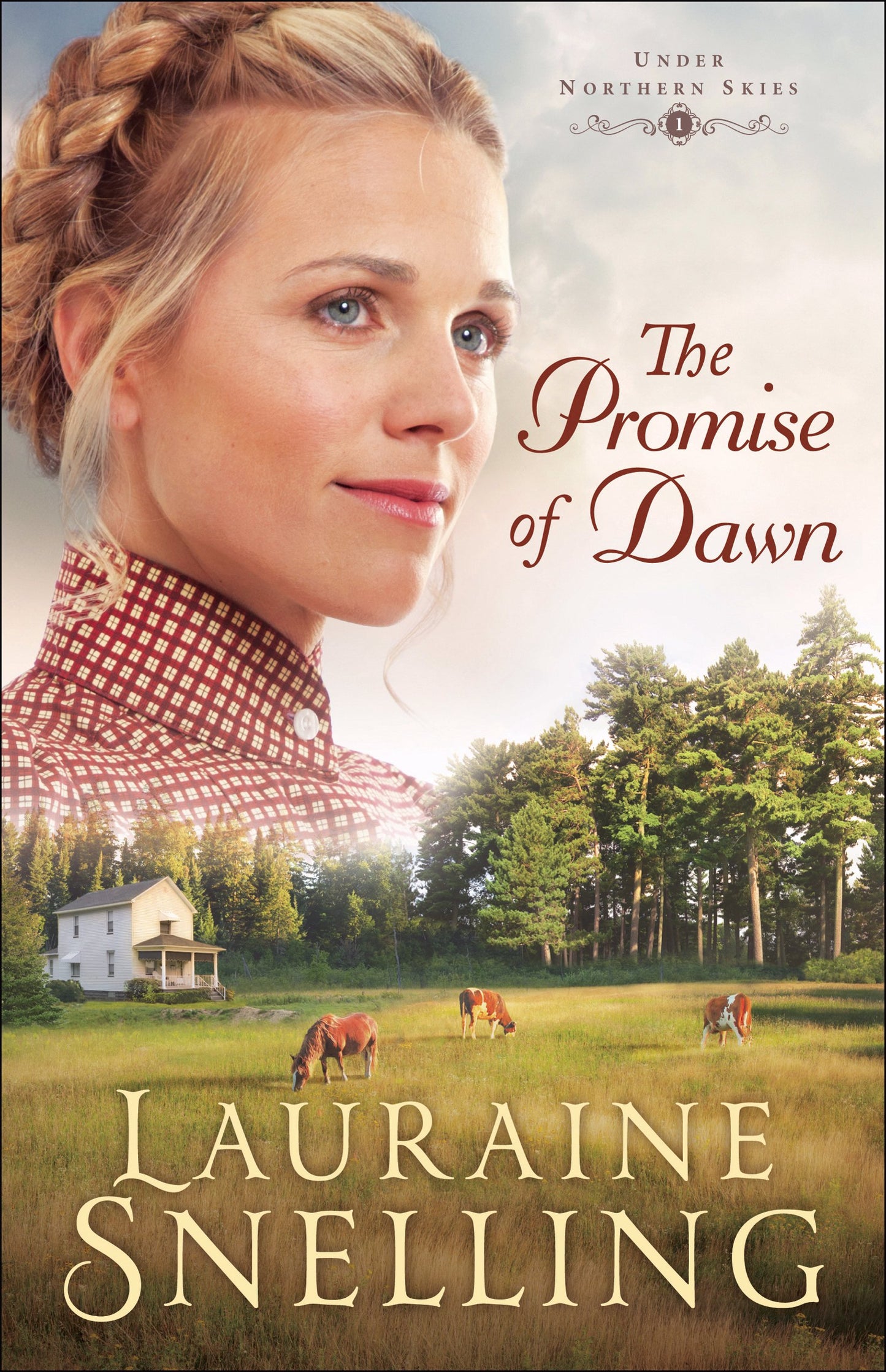 The Promise of Dawn (Under Northern Skies) The Happy Book Stack