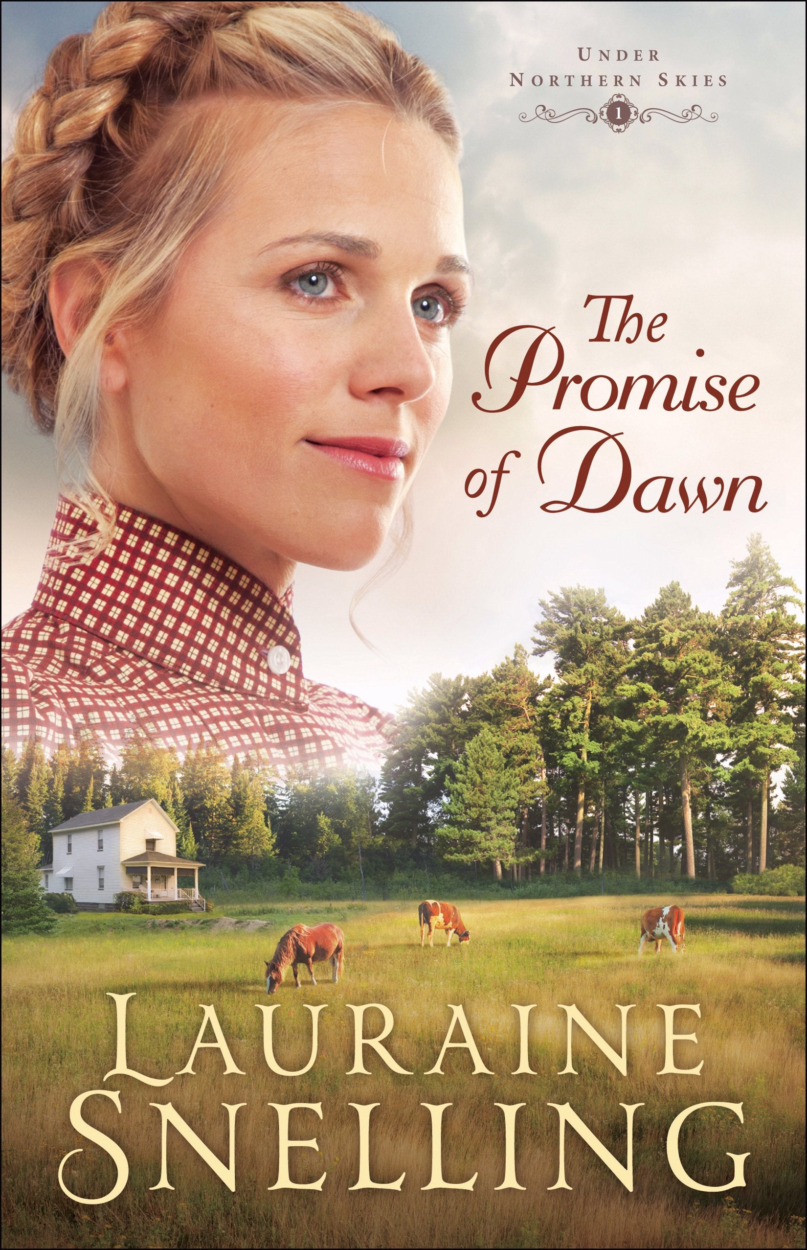 The Promise of Dawn (Under Northern Skies) The Happy Book Stack