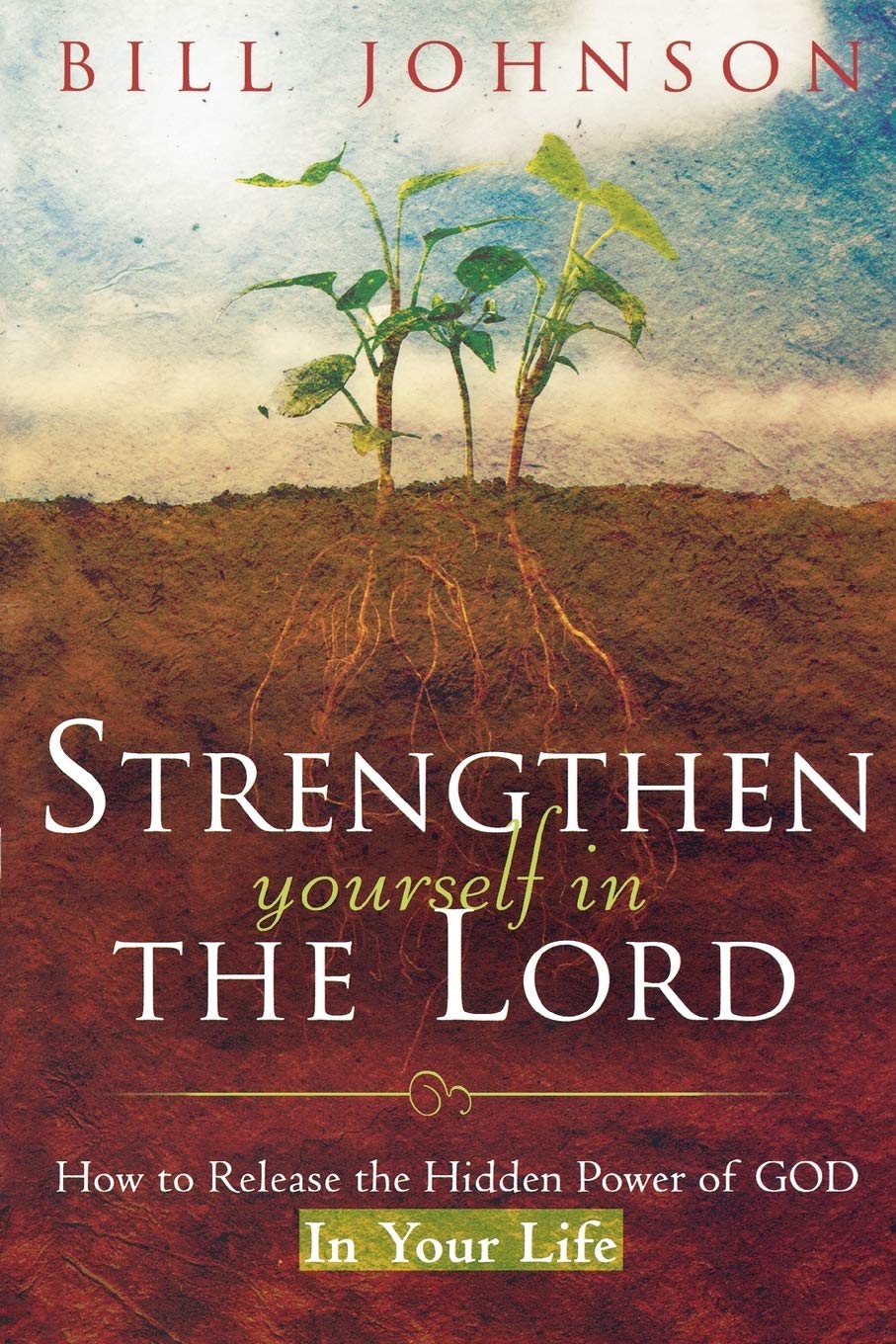 Strengthen Yourself in the Lord: How to Release the Hidden Power of God in Your Life The Happy Book Stack