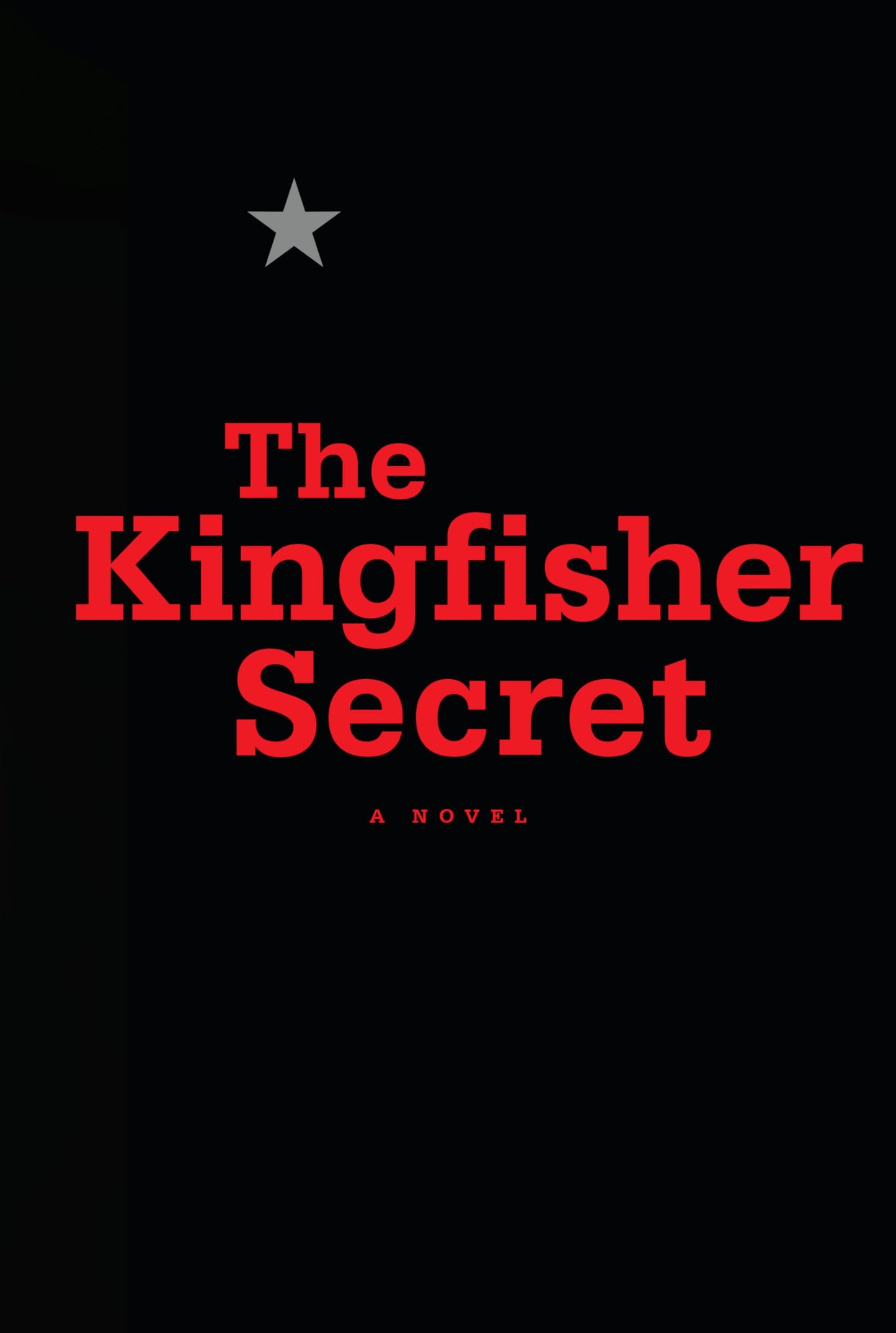 The Kingfisher Secret The Happy Book Stack