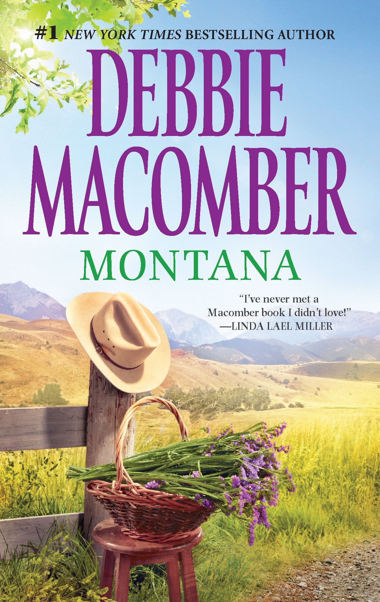 Montana The Happy Book Stack