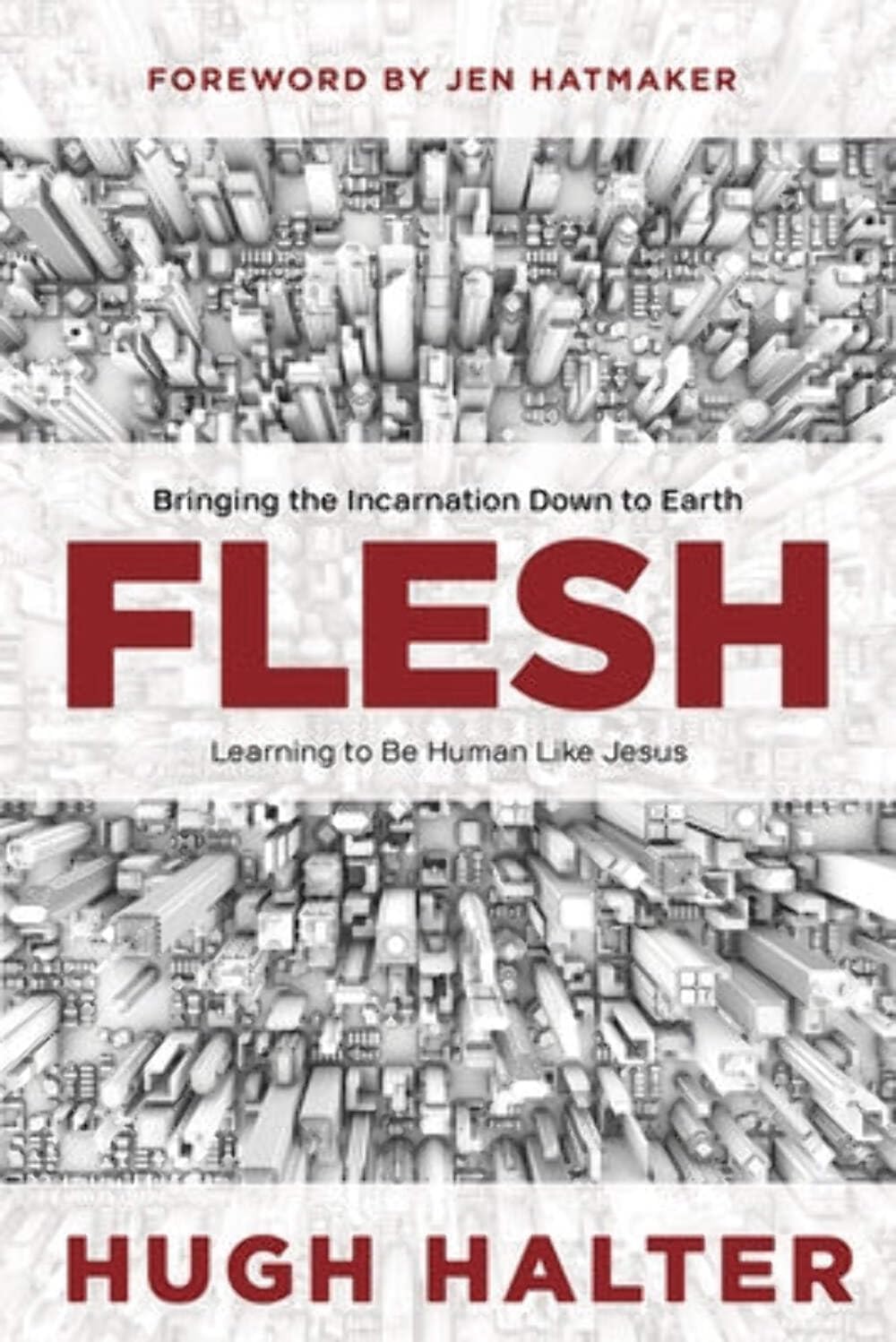 Flesh: Bringing the Incarnation Down to Earth The Happy Book Stack