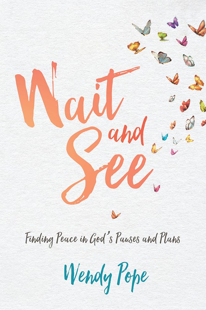 Wait and See: Finding Peace in God's Pauses and Plans The Happy Book Stack