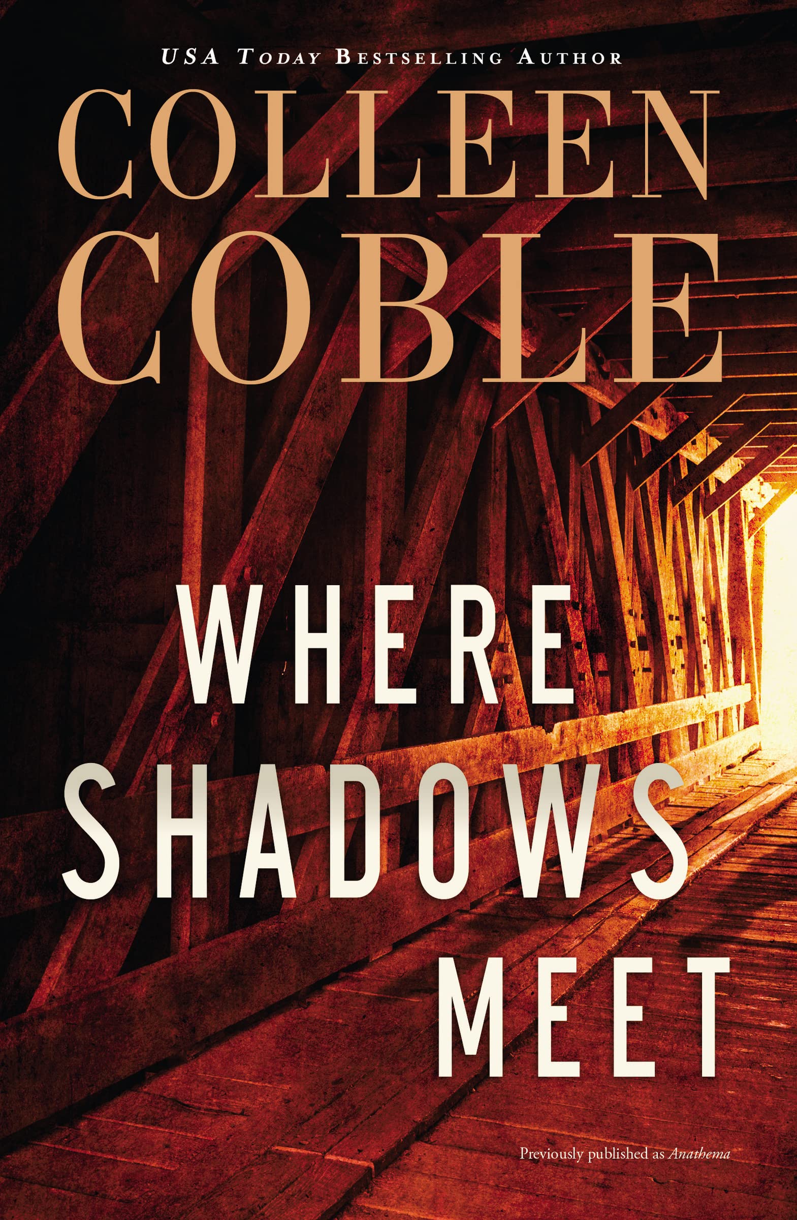 Where Shadows Meet: A Romantic Suspense Novel The Happy Book Stack