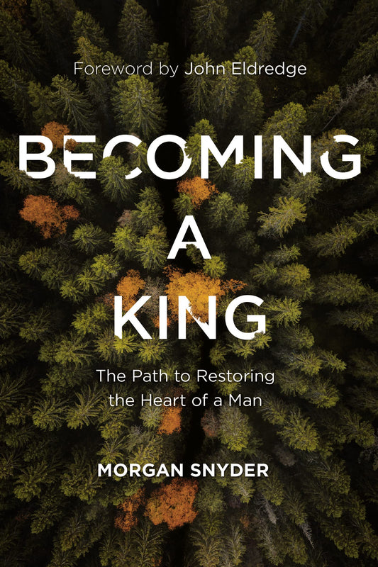 Becoming a King: The Path to Restoring the Heart of a Man The Happy Book Stack