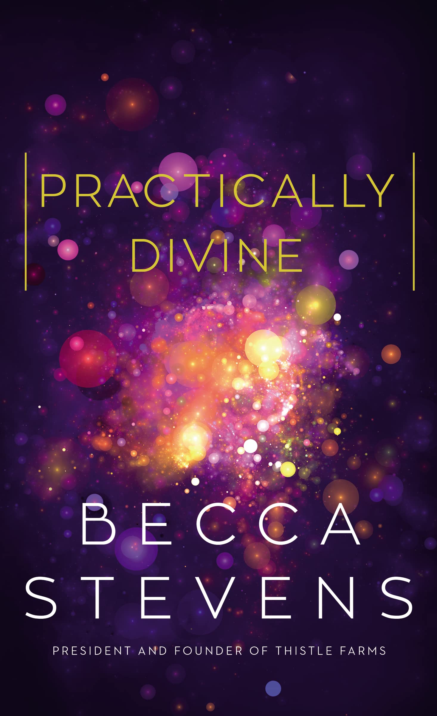 Practically Divine The Happy Book Stack
