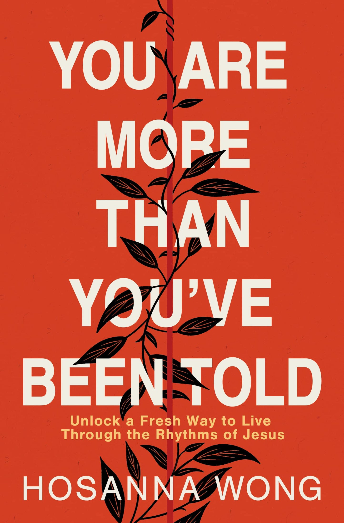 You Are More Than You've Been Told: Unlock a Fresh Way to Live Through the Rhythms of Jesus The Happy Book Stack