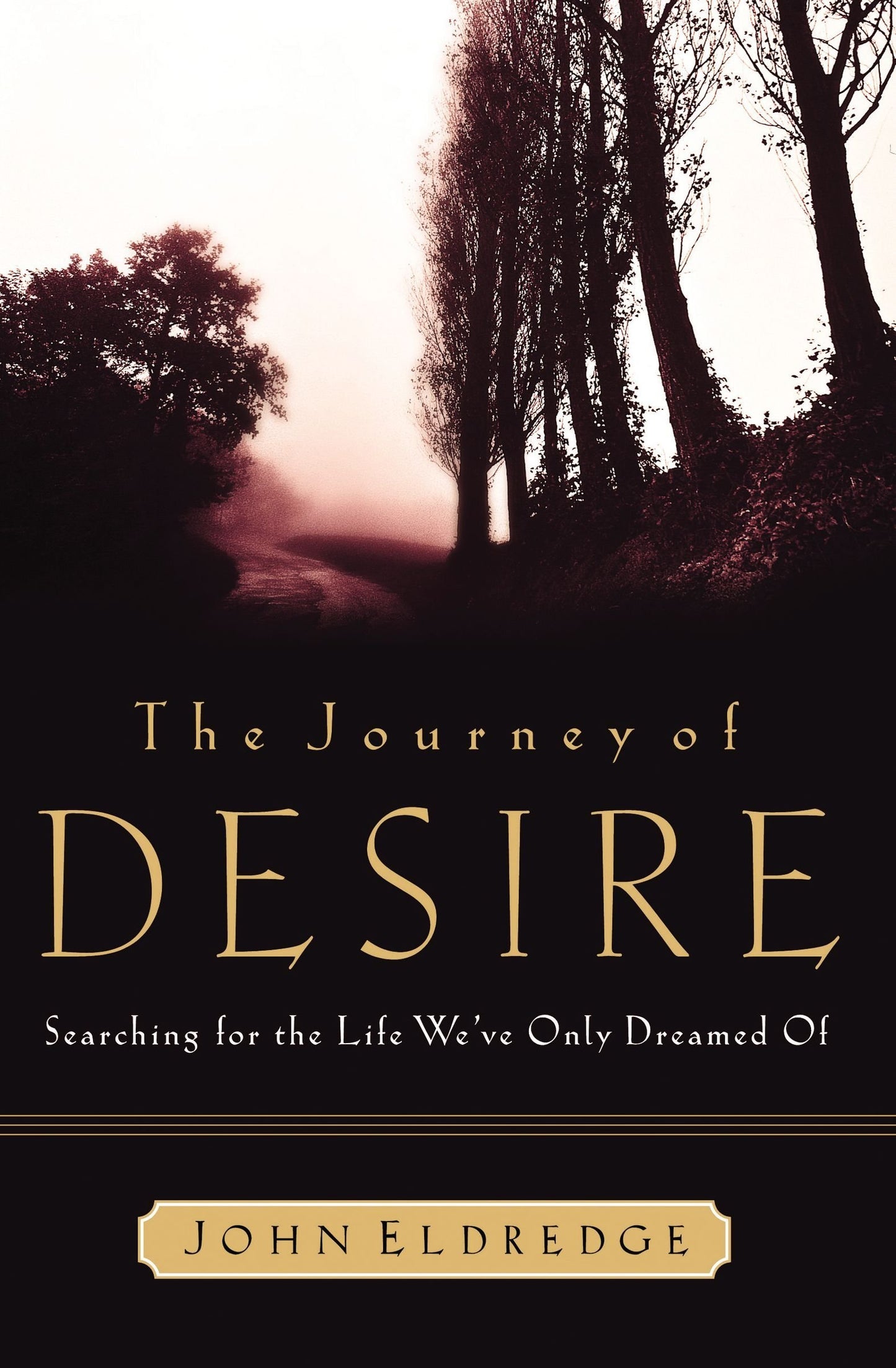 The Journey of Desire: Searching for the Life We Only Dreamed of The Happy Book Stack