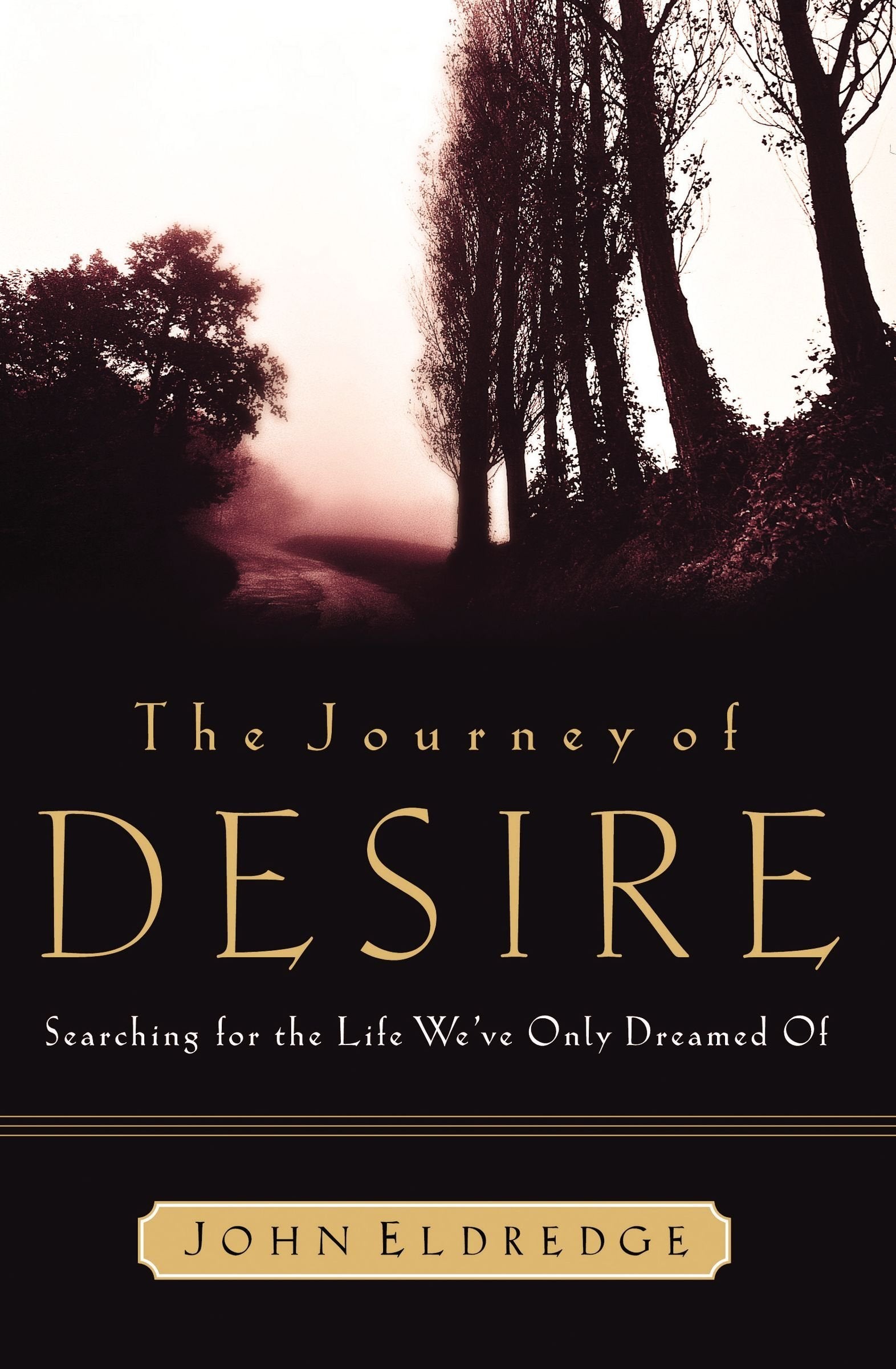 The Journey of Desire: Searching for the Life We Only Dreamed of The Happy Book Stack