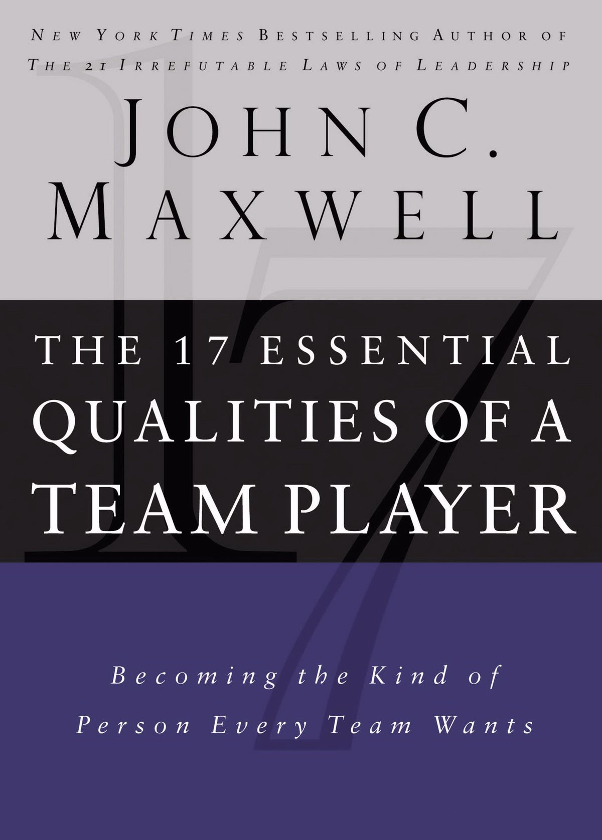 17 Essential Qualities of a Team Player: Becoming the Kind of Person Every Team Wants The Happy Book Stack