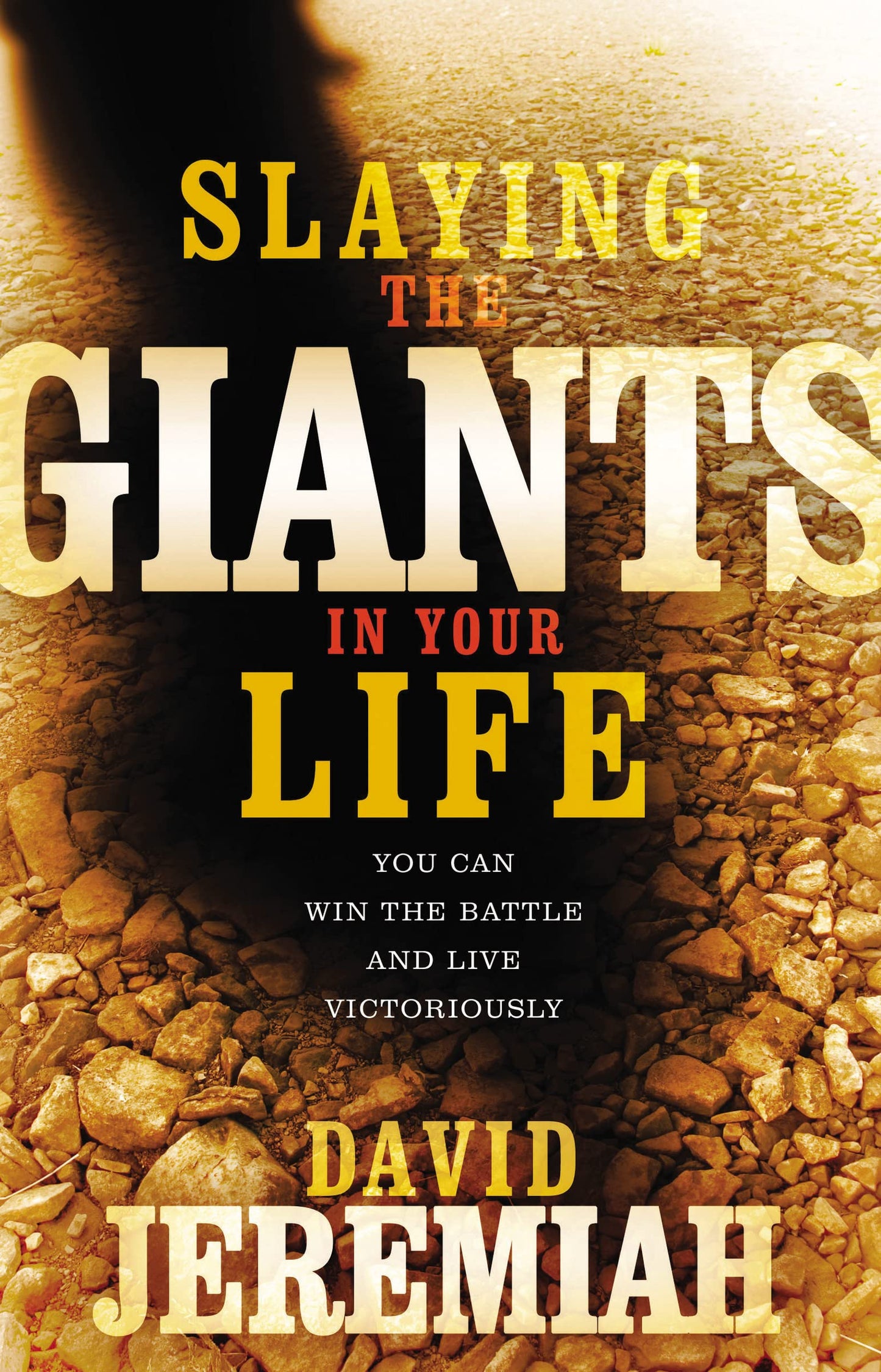 SLAYING THE GIANTS IN YOUR LIFE The Happy Book Stack