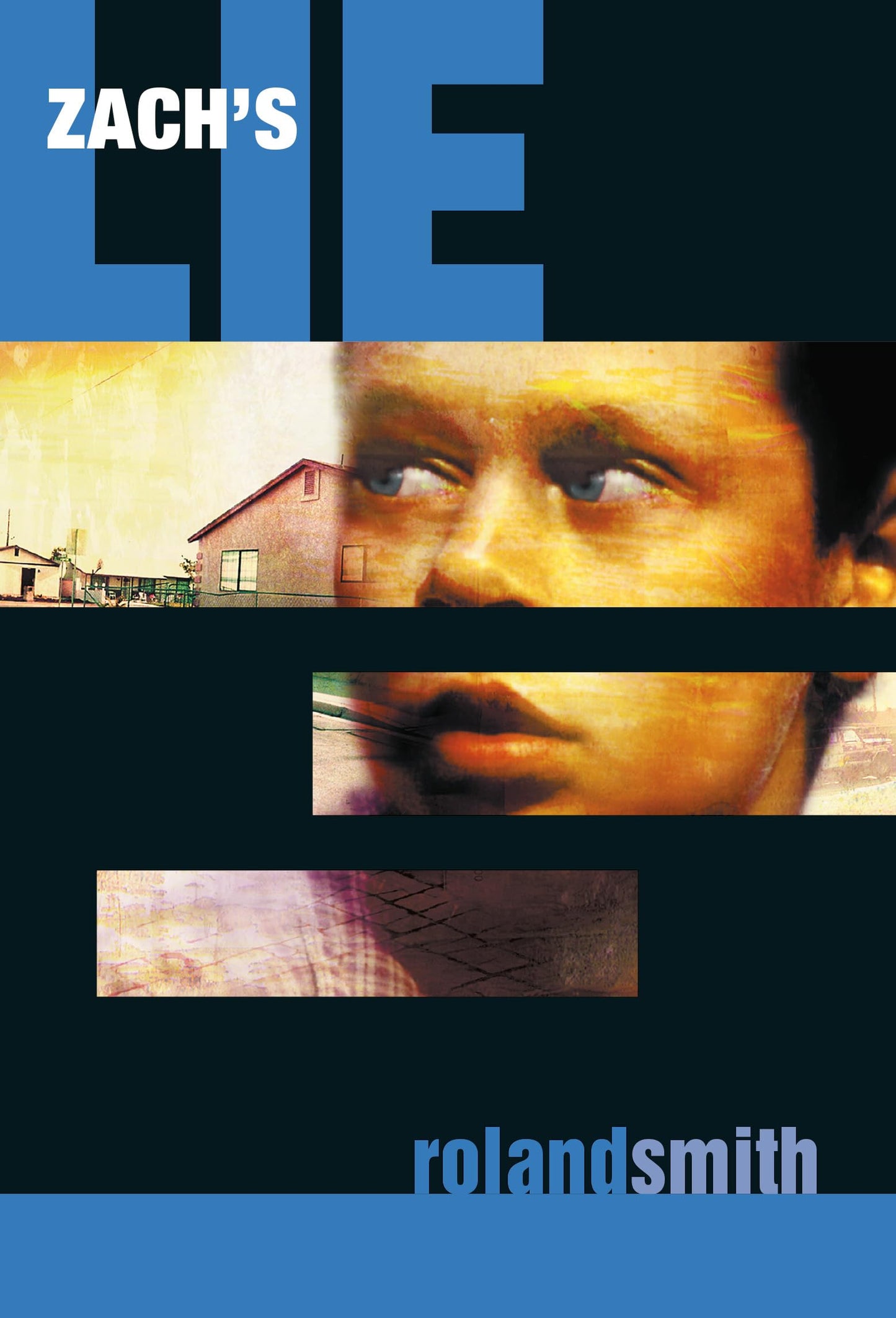 Zach's Lie The Happy Book Stack