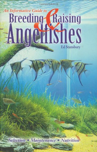 Breeding & Raising Angelfishes - 2623