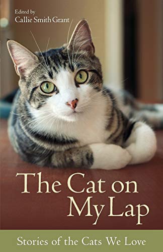 The Cat on My Lap: Stories of the Cats We Love The Happy Book Stack