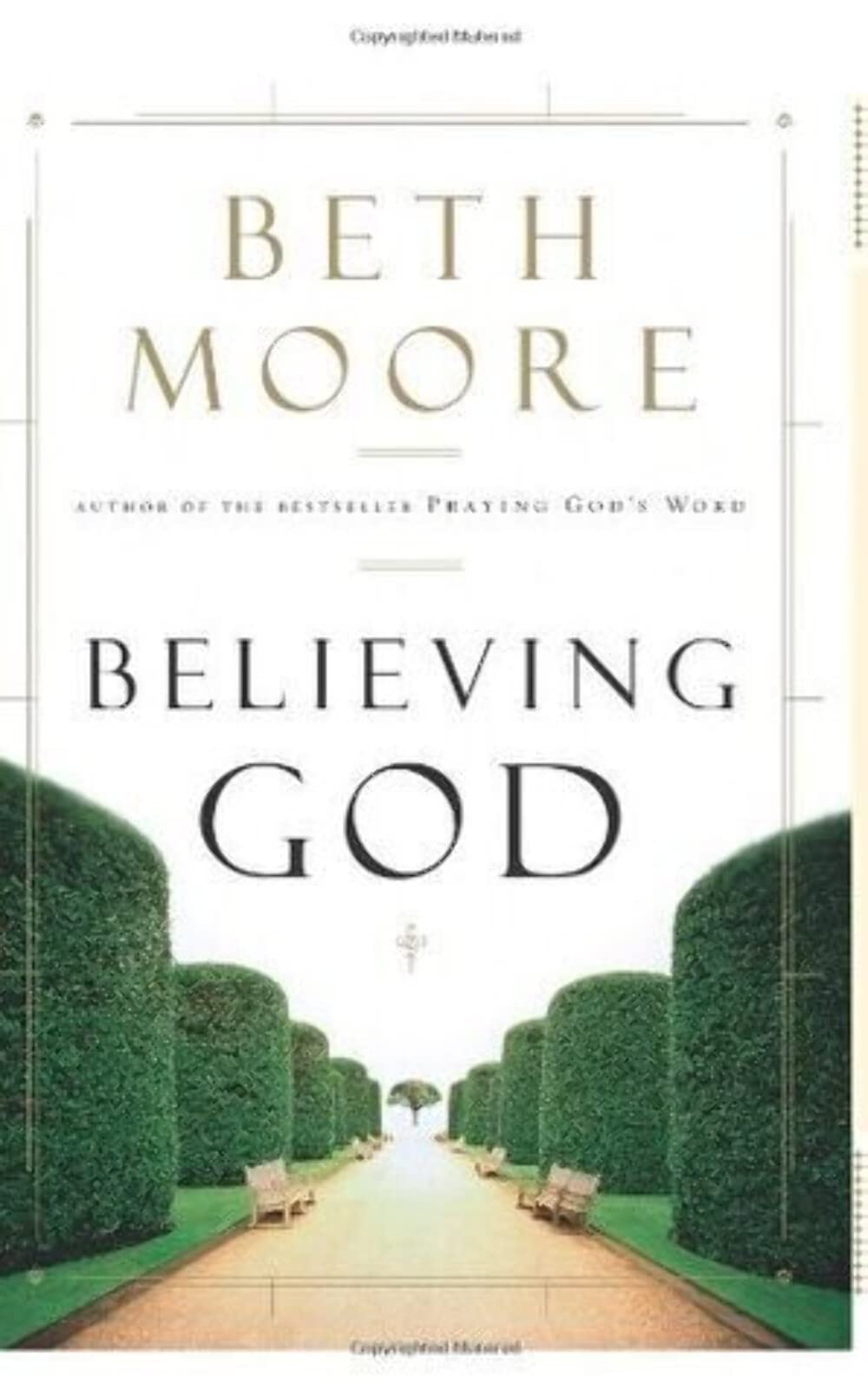 Believing God The Happy Book Stack