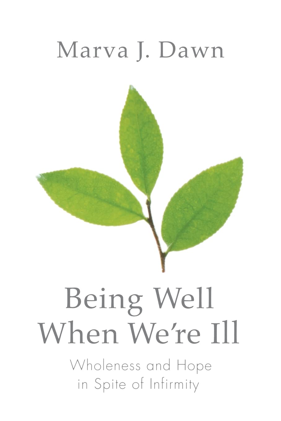 Being Well When We're Ill: Wholeness and Hope in Spite of Infirmity (Living Well) The Happy Book Stack