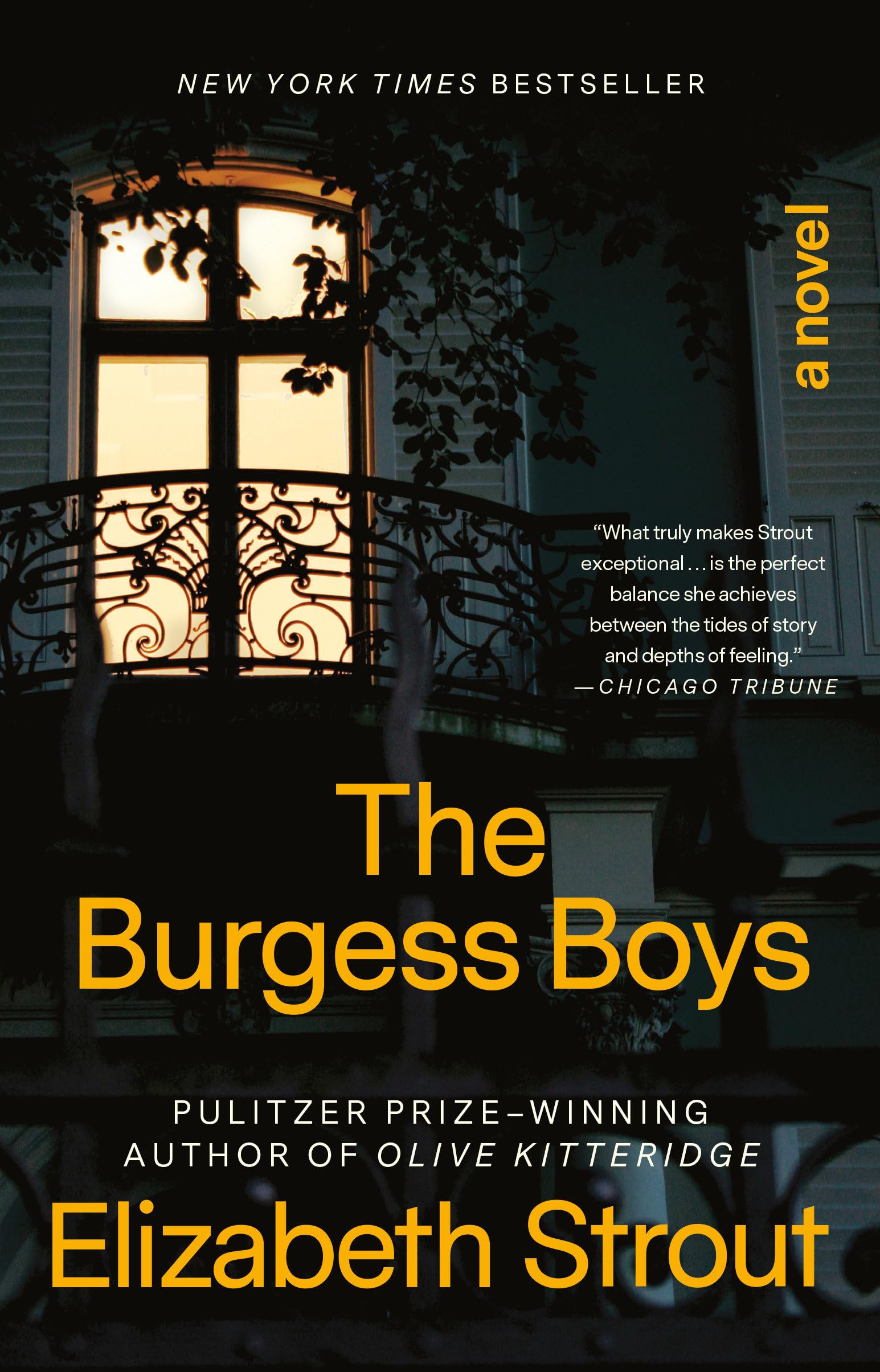 The Burgess Boys: A Novel The Happy Book Stack