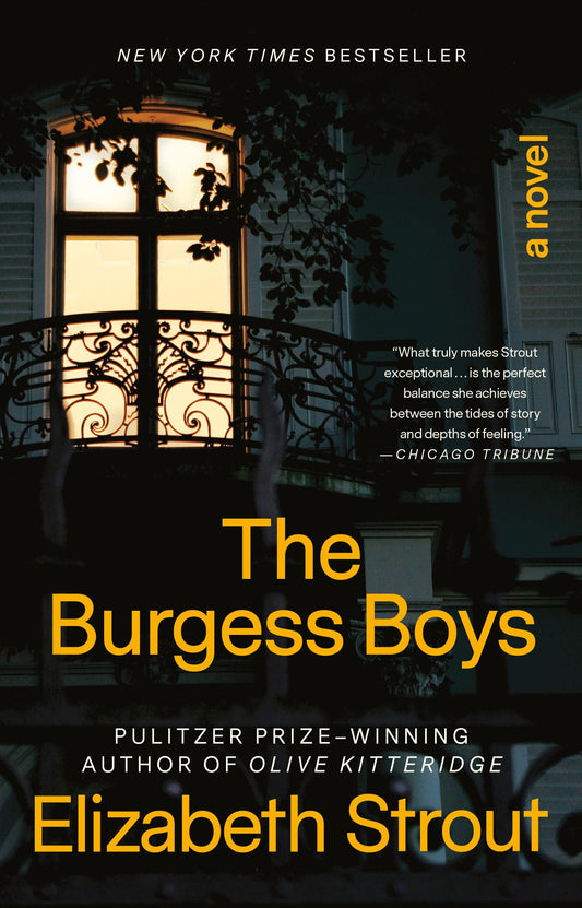 The Burgess Boys: A Novel The Happy Book Stack