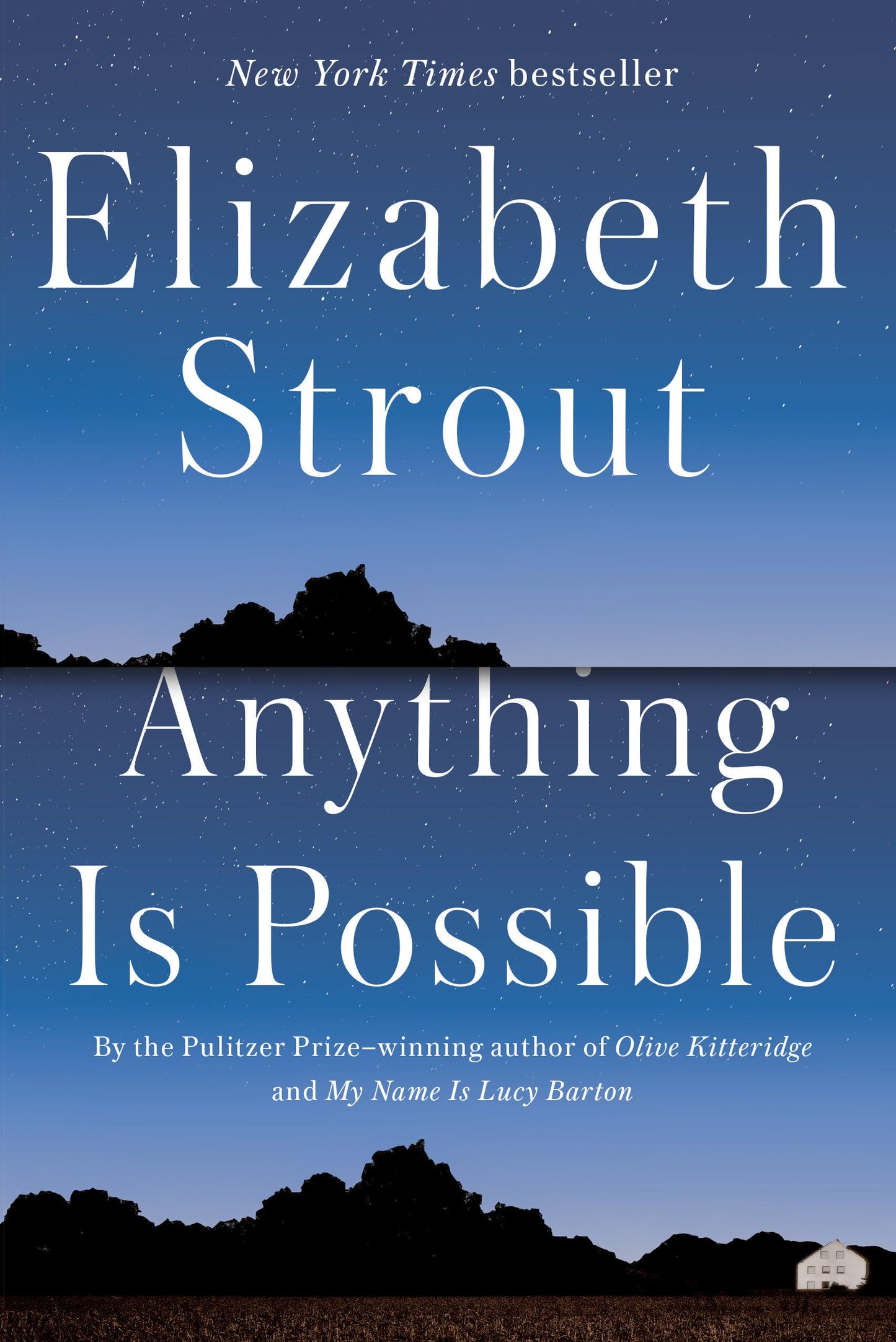 Anything Is Possible: A Novel The Happy Book Stack