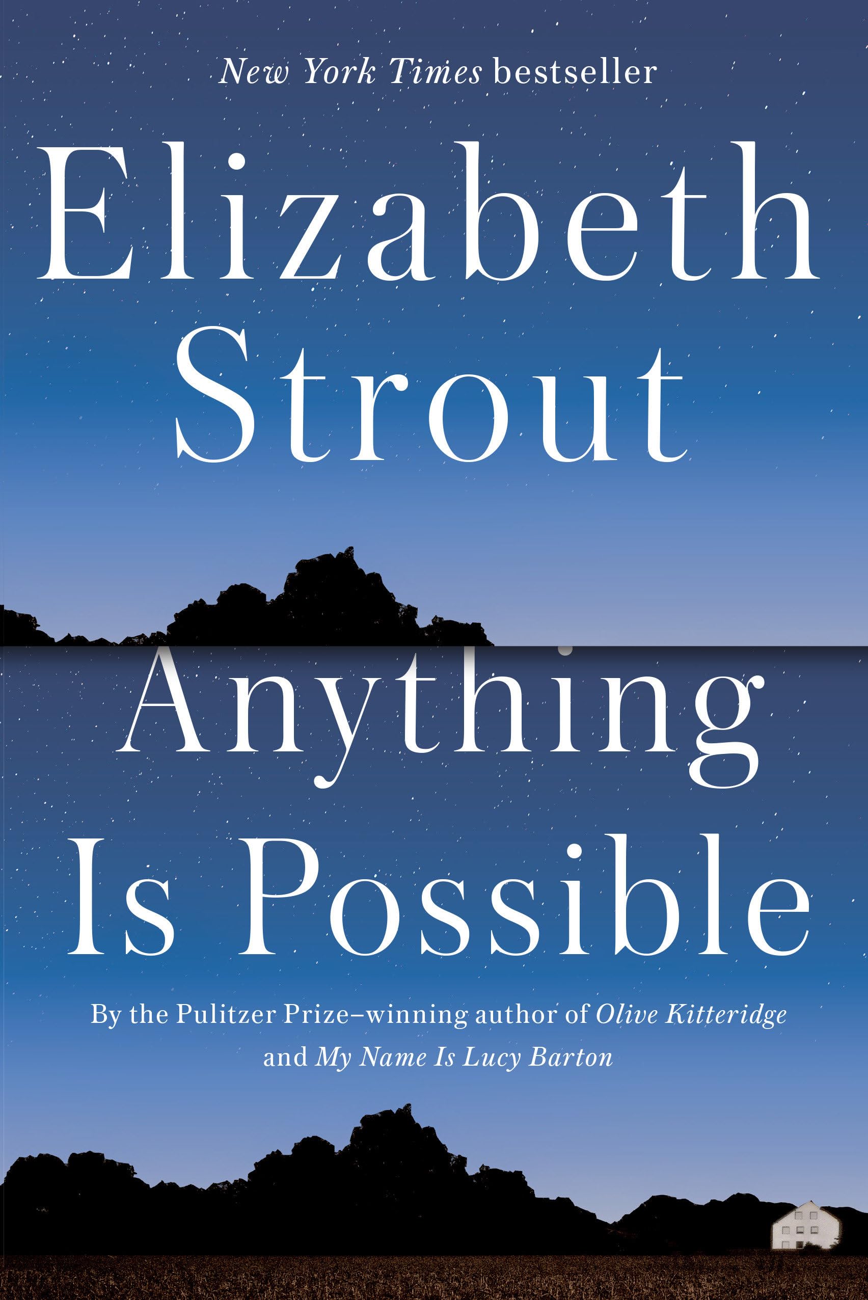 Anything Is Possible: A Novel The Happy Book Stack