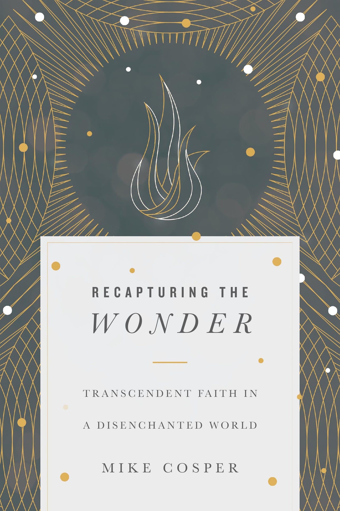 Recapturing the Wonder: Transcendent Faith in a Disenchanted World The Happy Book Stack