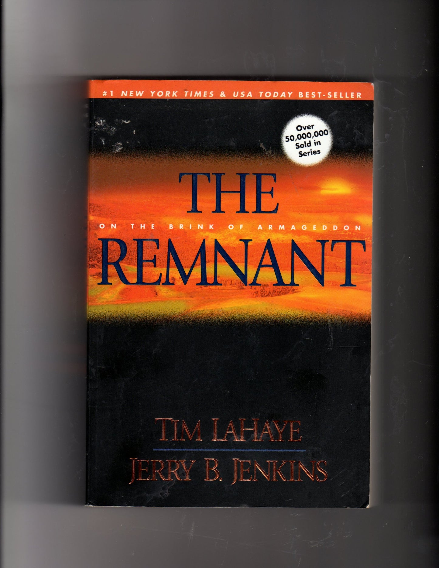 The Remnant: On the Brink of Armageddon (Left Behind) The Happy Book Stack