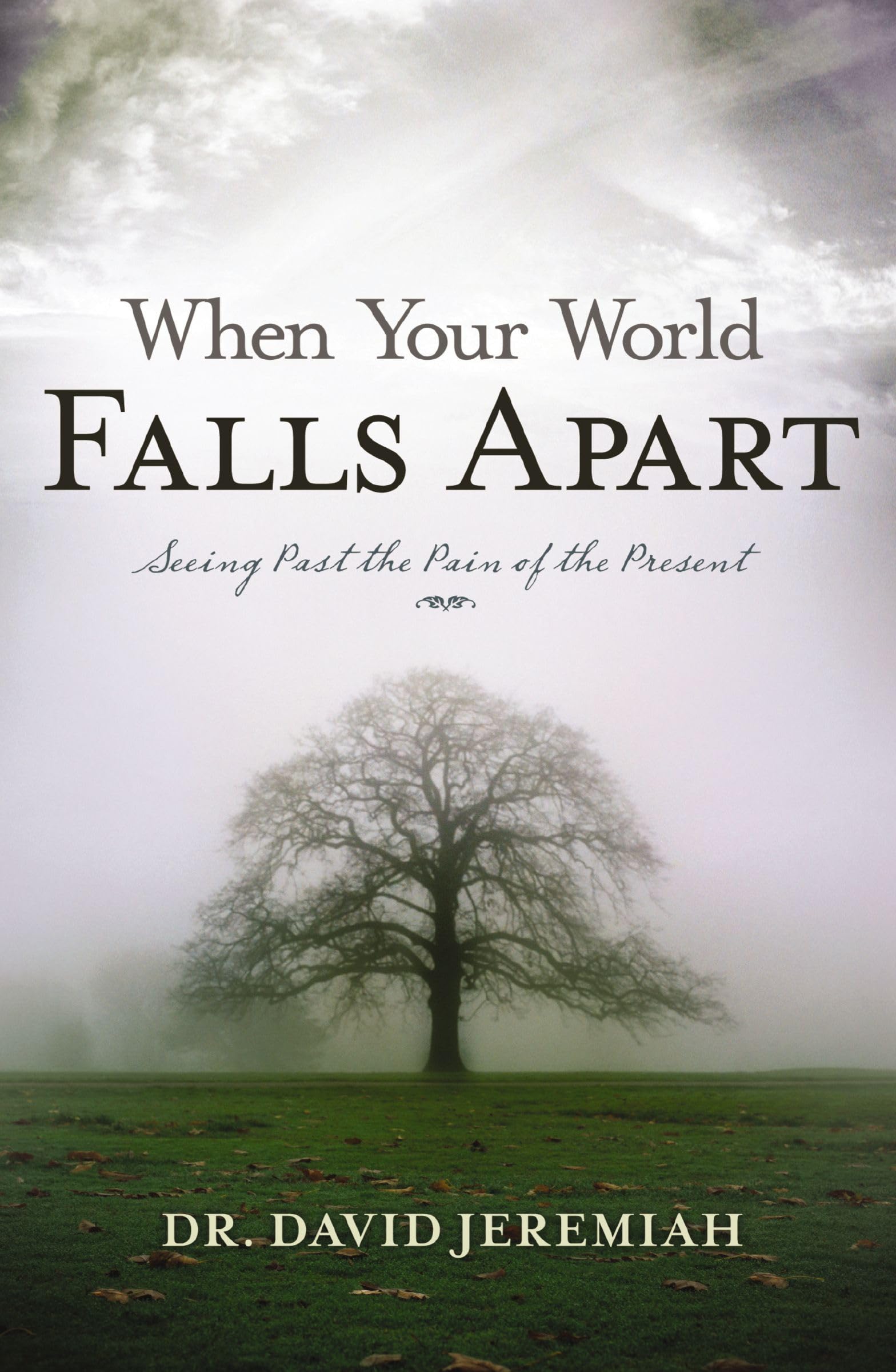 When Your World Falls Apart: See Past the Pain of the Present The Happy Book Stack