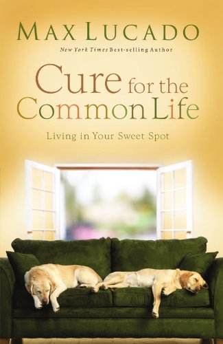 CURE FOR THE COMMON LIFE The Happy Book Stack