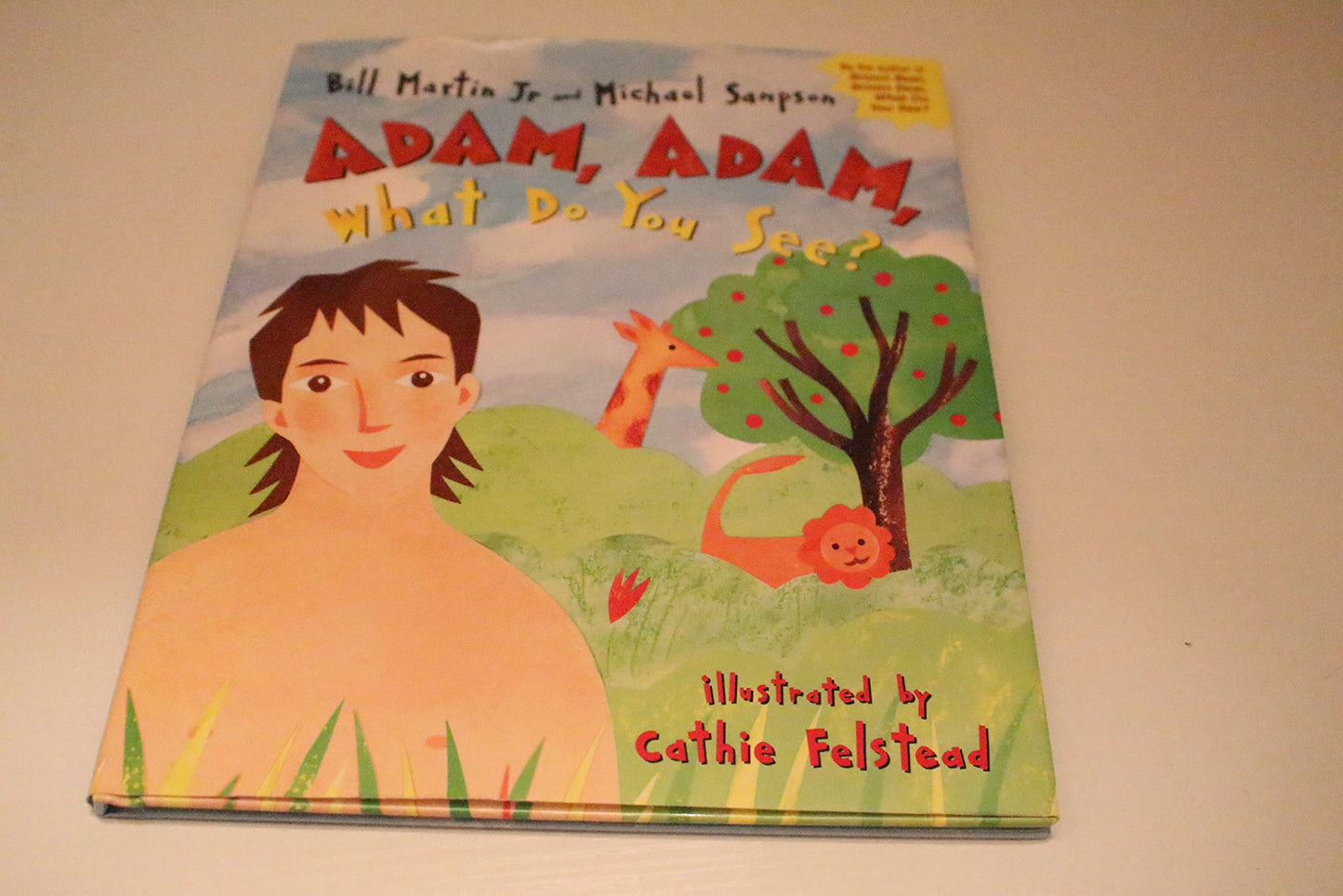 Adam, Adam What Do You See? The Happy Book Stack