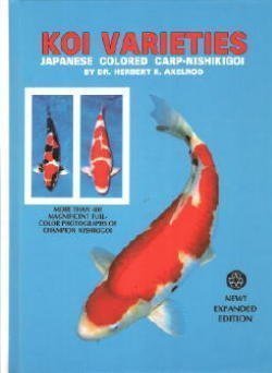 Koi Varieties: Japanese Colored Carp-Nishikigoi - 8645