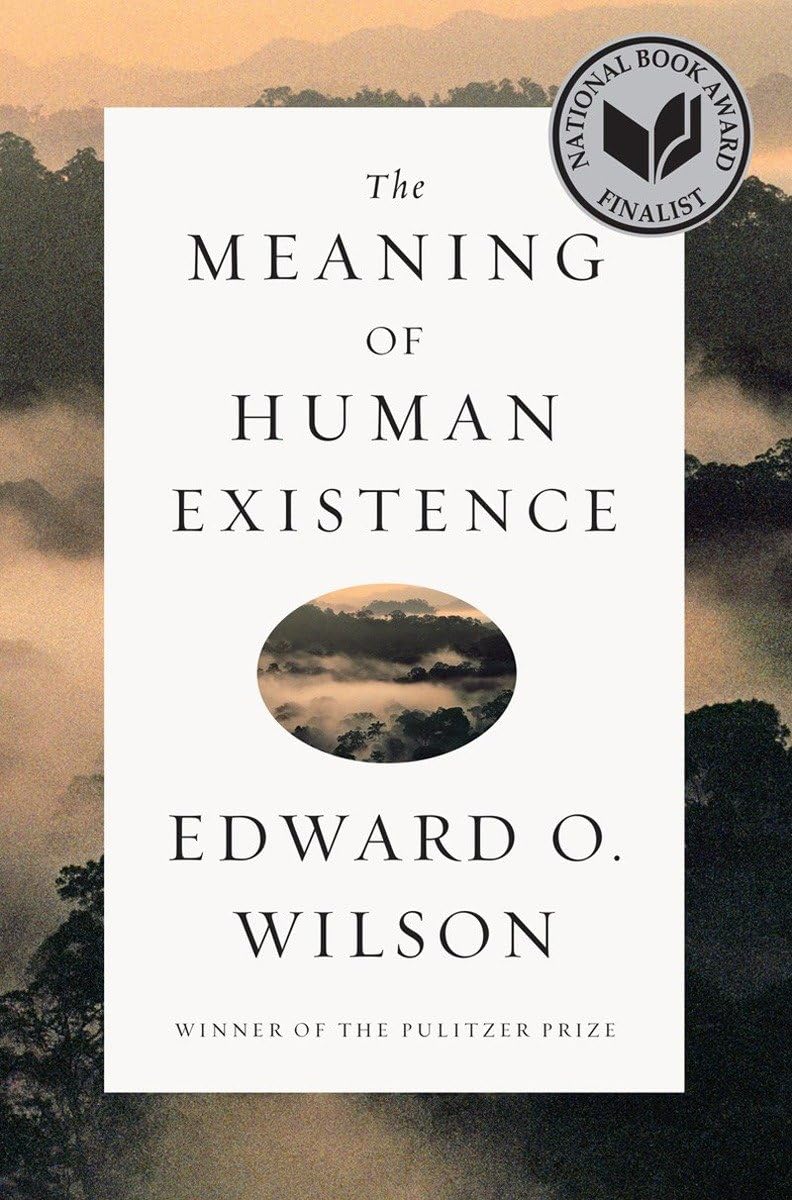 The Meaning of Human Existence The Happy Book Stack