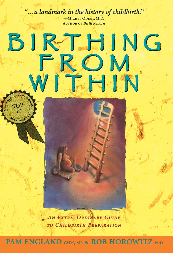 Birthing from Within: An Extra-Ordinary Guide to Childbirth Preparation The Happy Book Stack