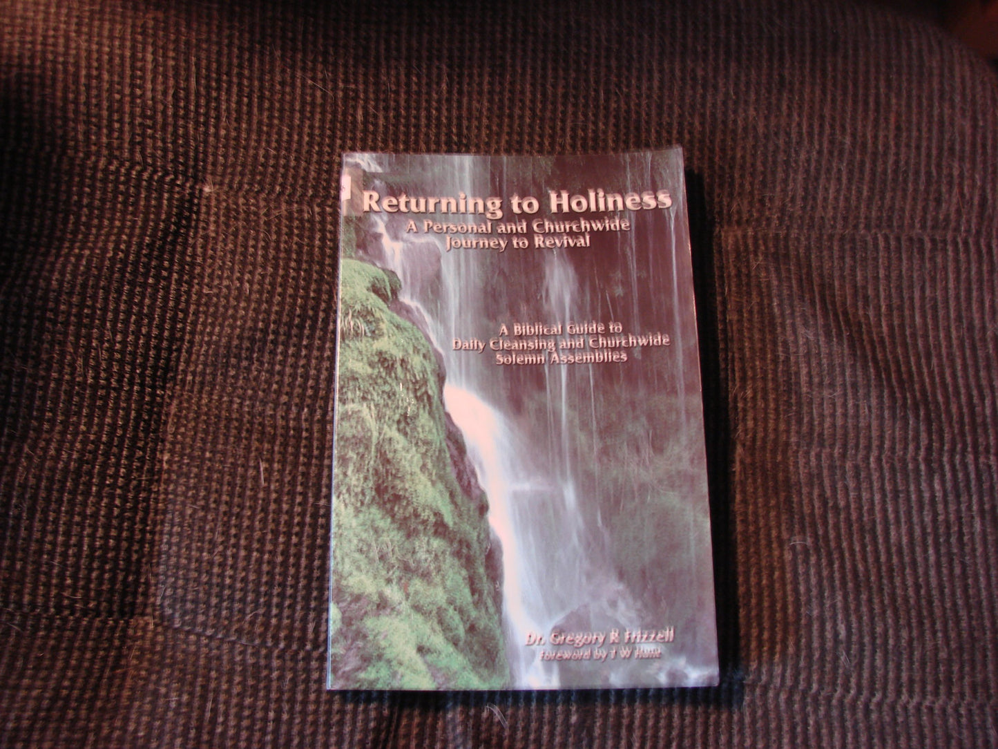 Returning to Holiness The Happy Book Stack