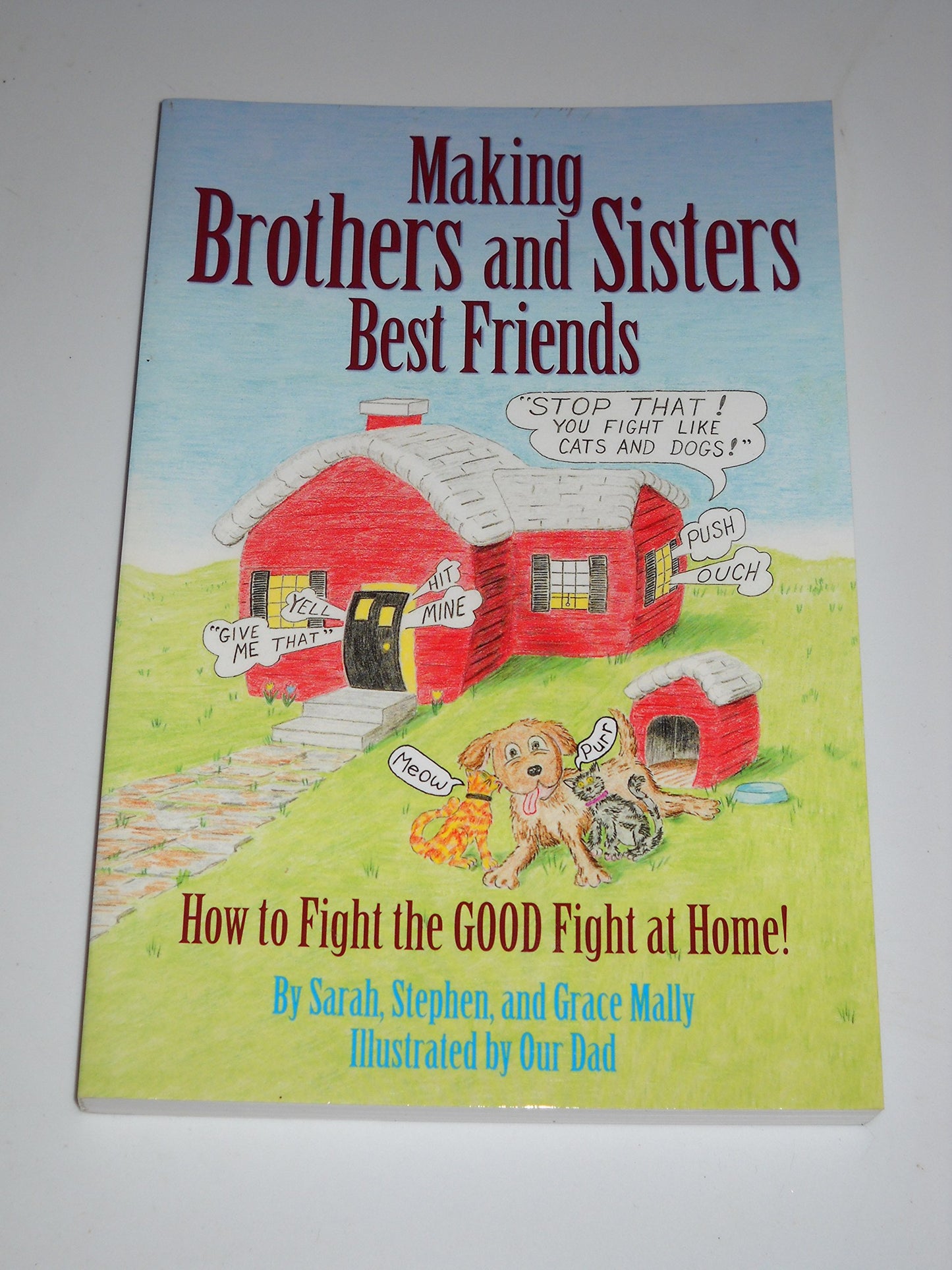 Making Brothers and Sisters Best Friends The Happy Book Stack