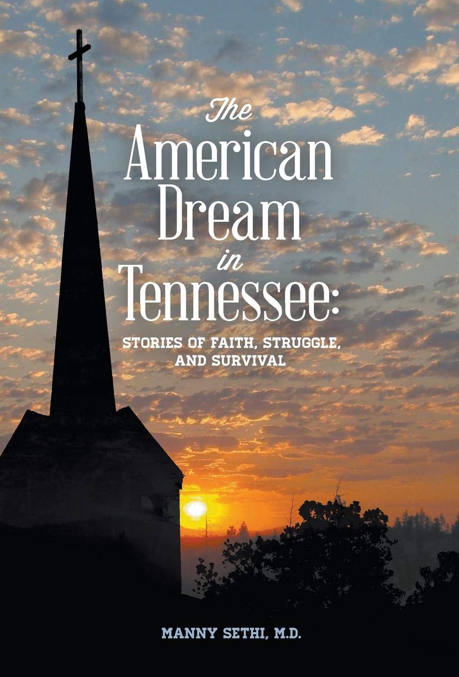 The American Dream in Tennessee: Stories of Faith, Struggle & Survival The Happy Book Stack