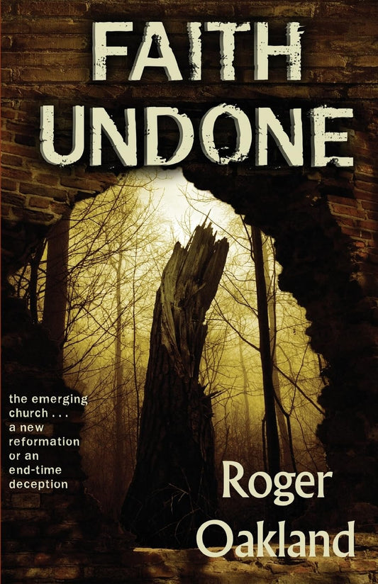 Faith Undone The Happy Book Stack
