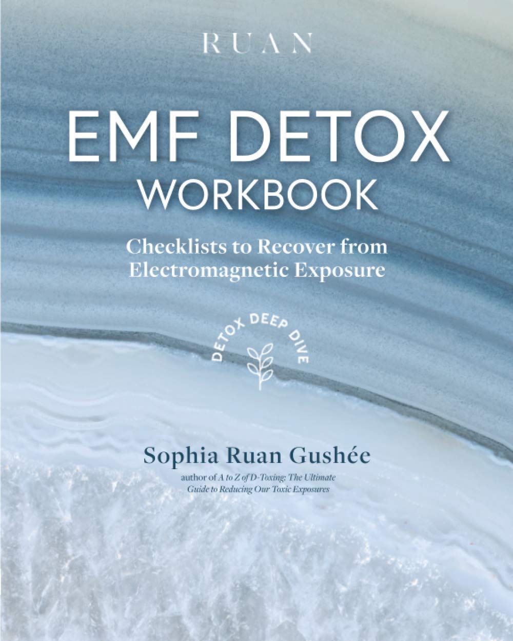 EMF Detox Workbook: Checklists To Recover From Electromagnetic Exposure (Detox Deep Dive) - 8813