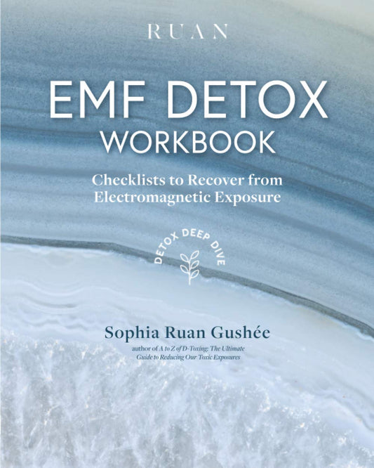 EMF Detox Workbook: Checklists To Recover From Electromagnetic Exposure (Detox Deep Dive) - 9338