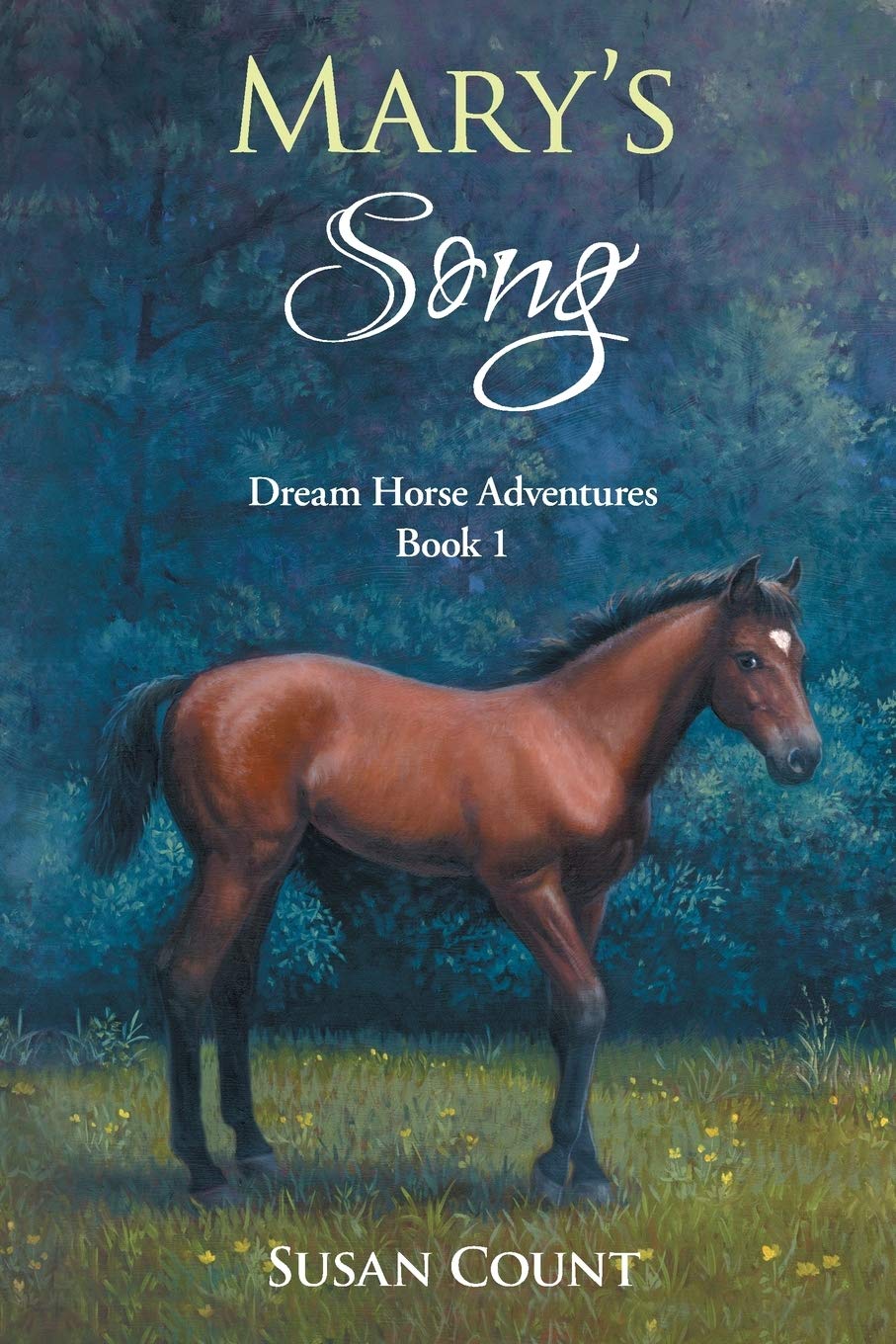 Mary's Song (Dream Horse Adventures) The Happy Book Stack