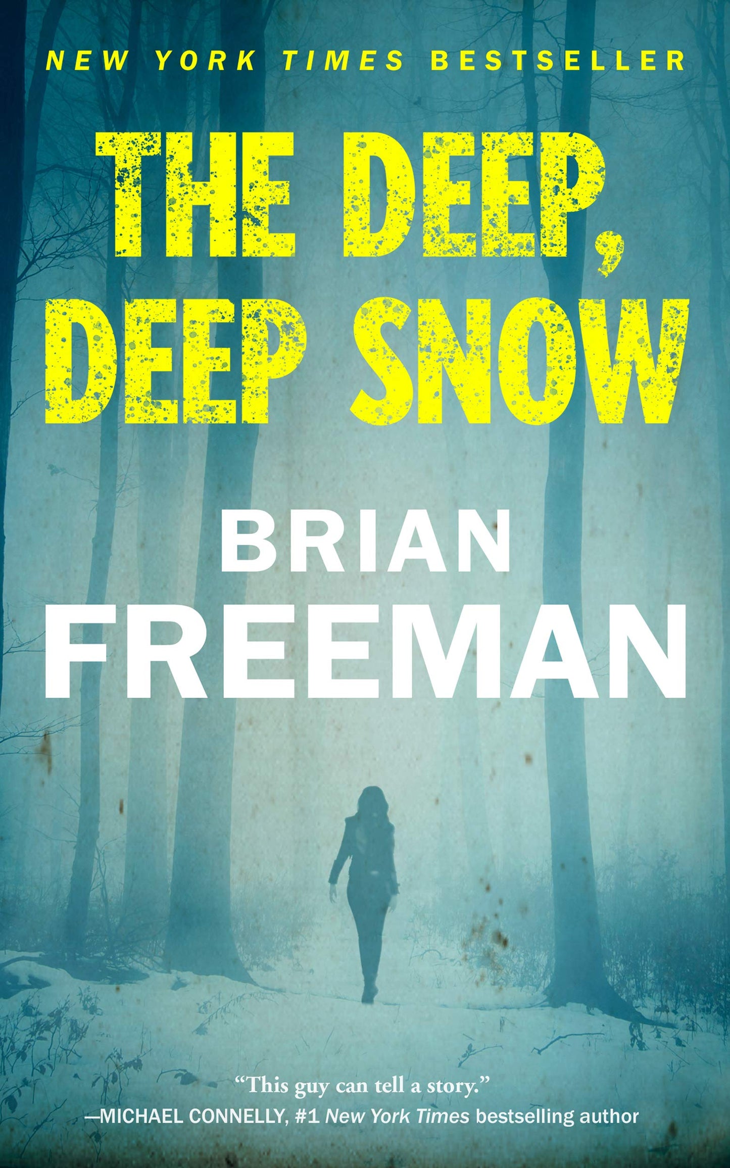 The Deep, Deep Snow - 5291