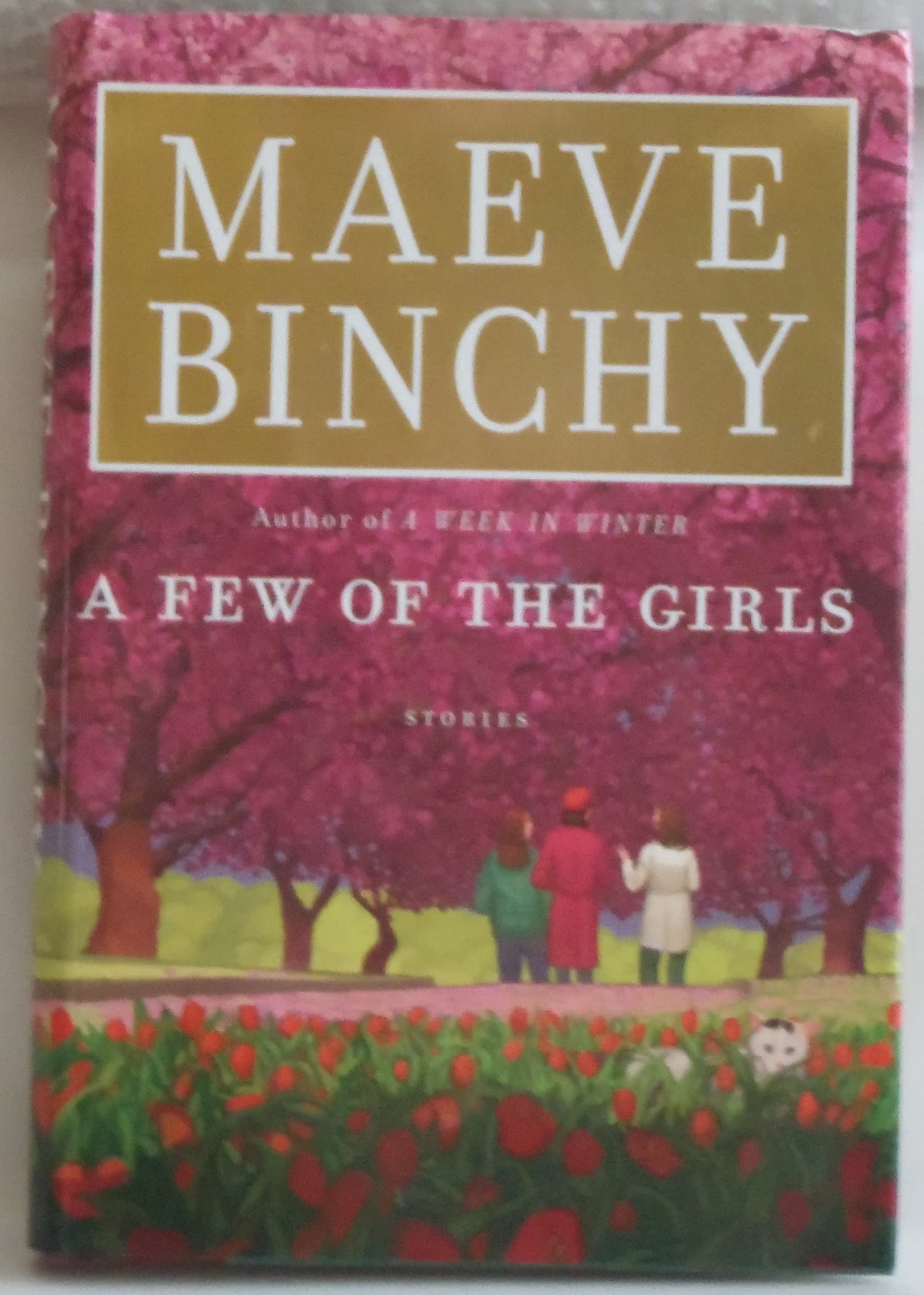 A Few of the Girls: Stories The Happy Book Stack
