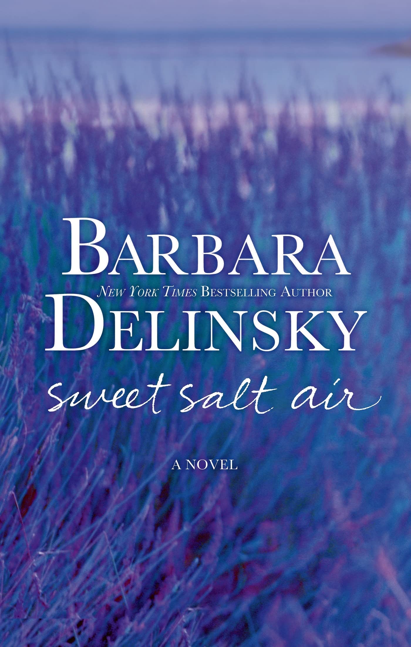 Sweet Salt Air: A Novel The Happy Book Stack