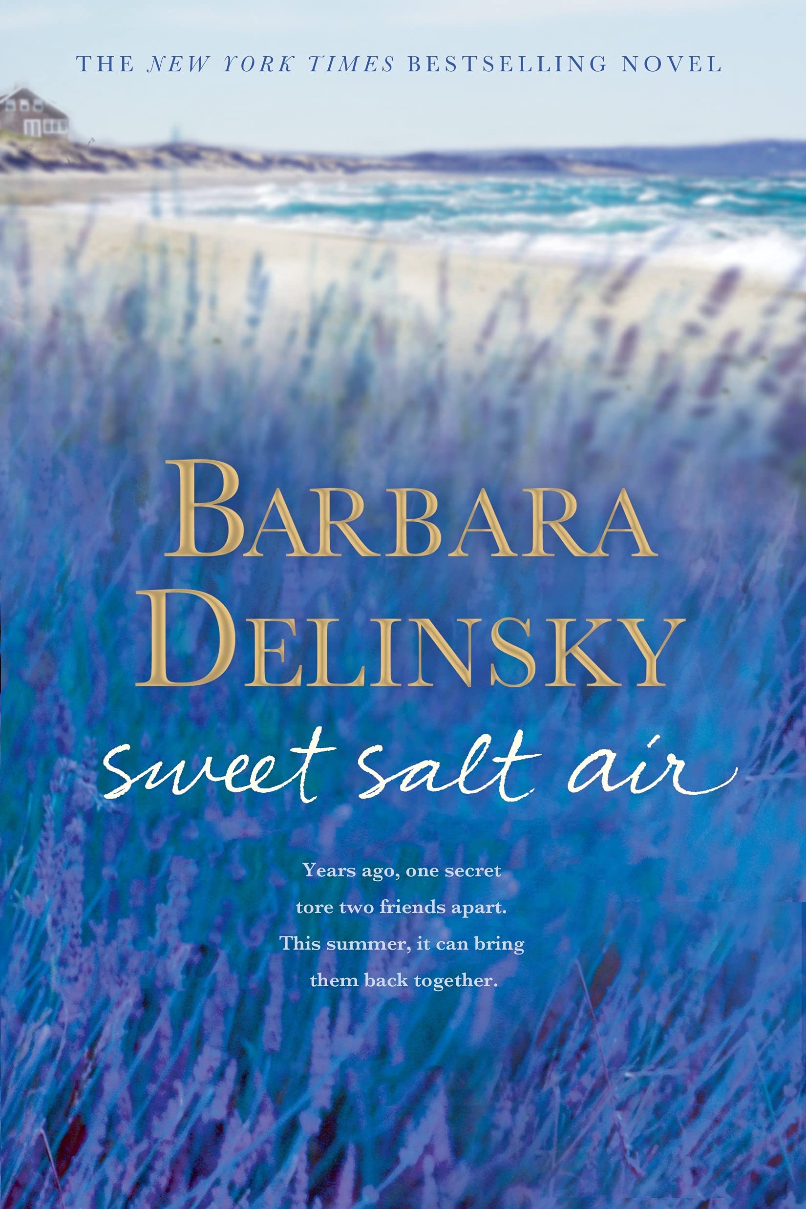 Sweet Salt Air: A Novel The Happy Book Stack