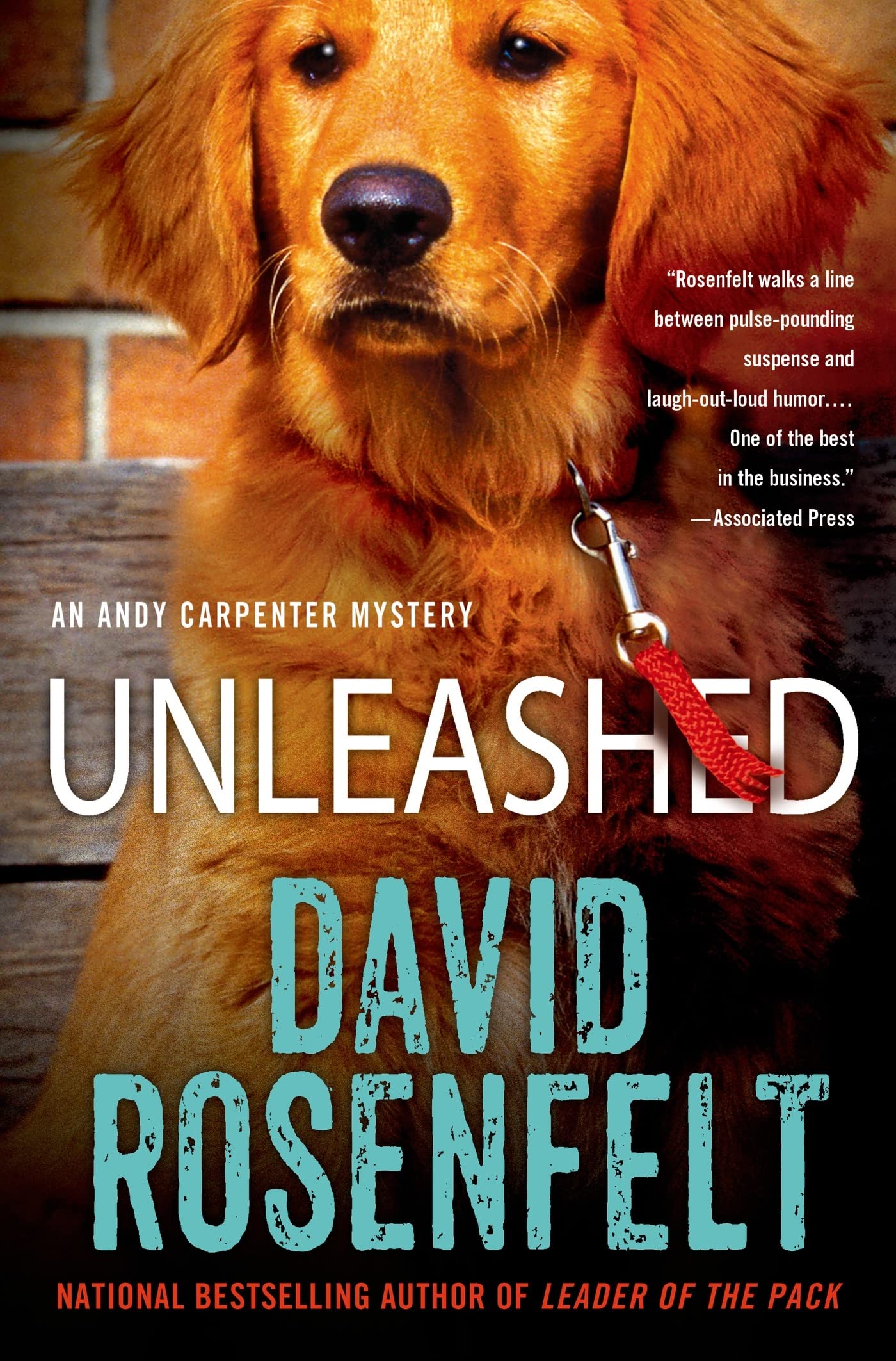 Unleashed: An Andy Carpenter Mystery (An Andy Carpenter Novel) - 1788