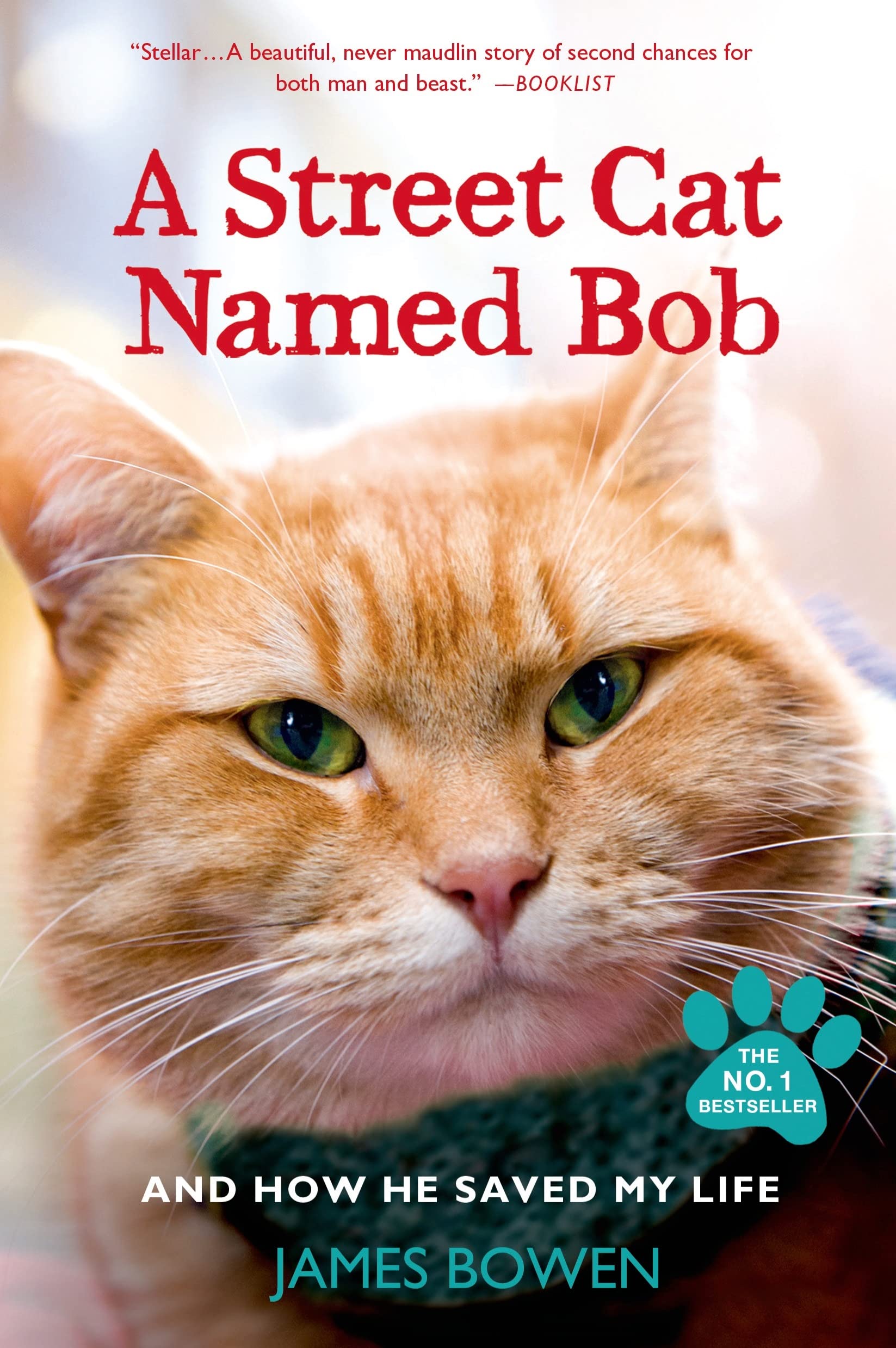A Street Cat Named Bob: And How He Saved My Life The Happy Book Stack