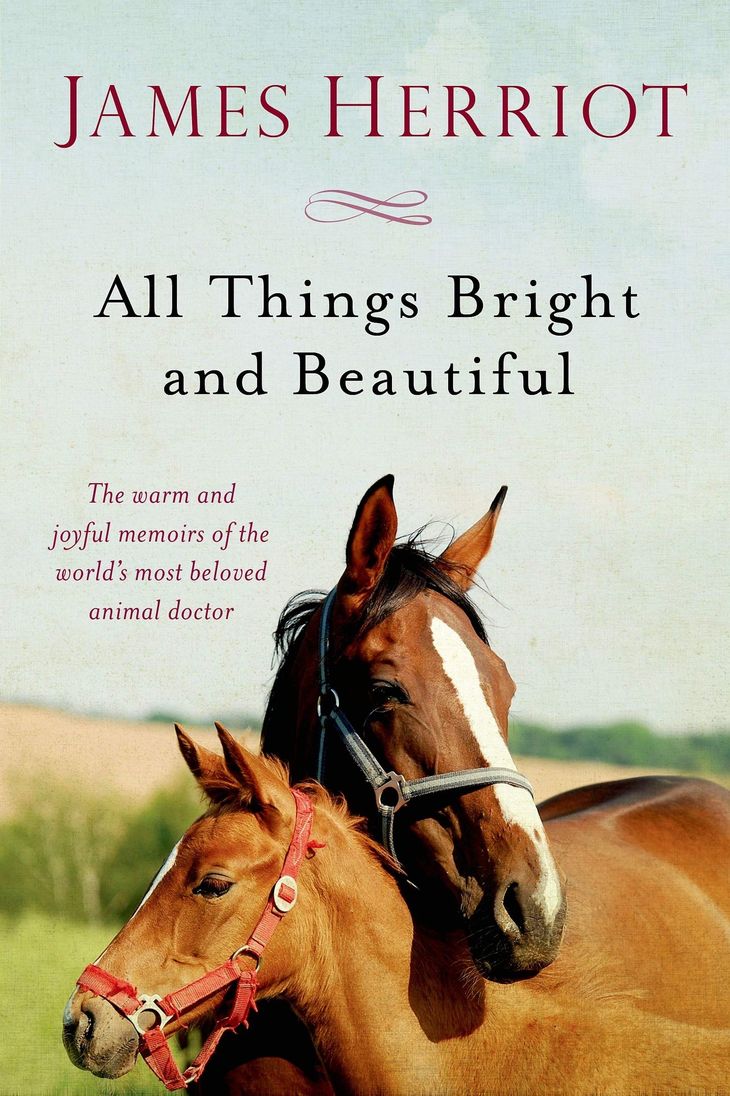 All Things Bright and Beautiful: The Warm and Joyful Memoirs of the World's Most Beloved Animal Doctor (All Creatures Great and Small) The Happy Book Stack