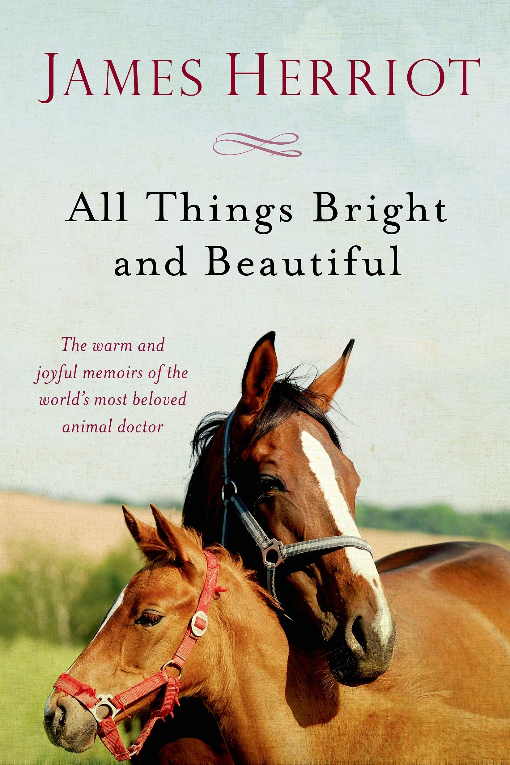 All Things Bright and Beautiful: The Warm and Joyful Memoirs of the World's Most Beloved Animal Doctor (All Creatures Great and Small) The Happy Book Stack