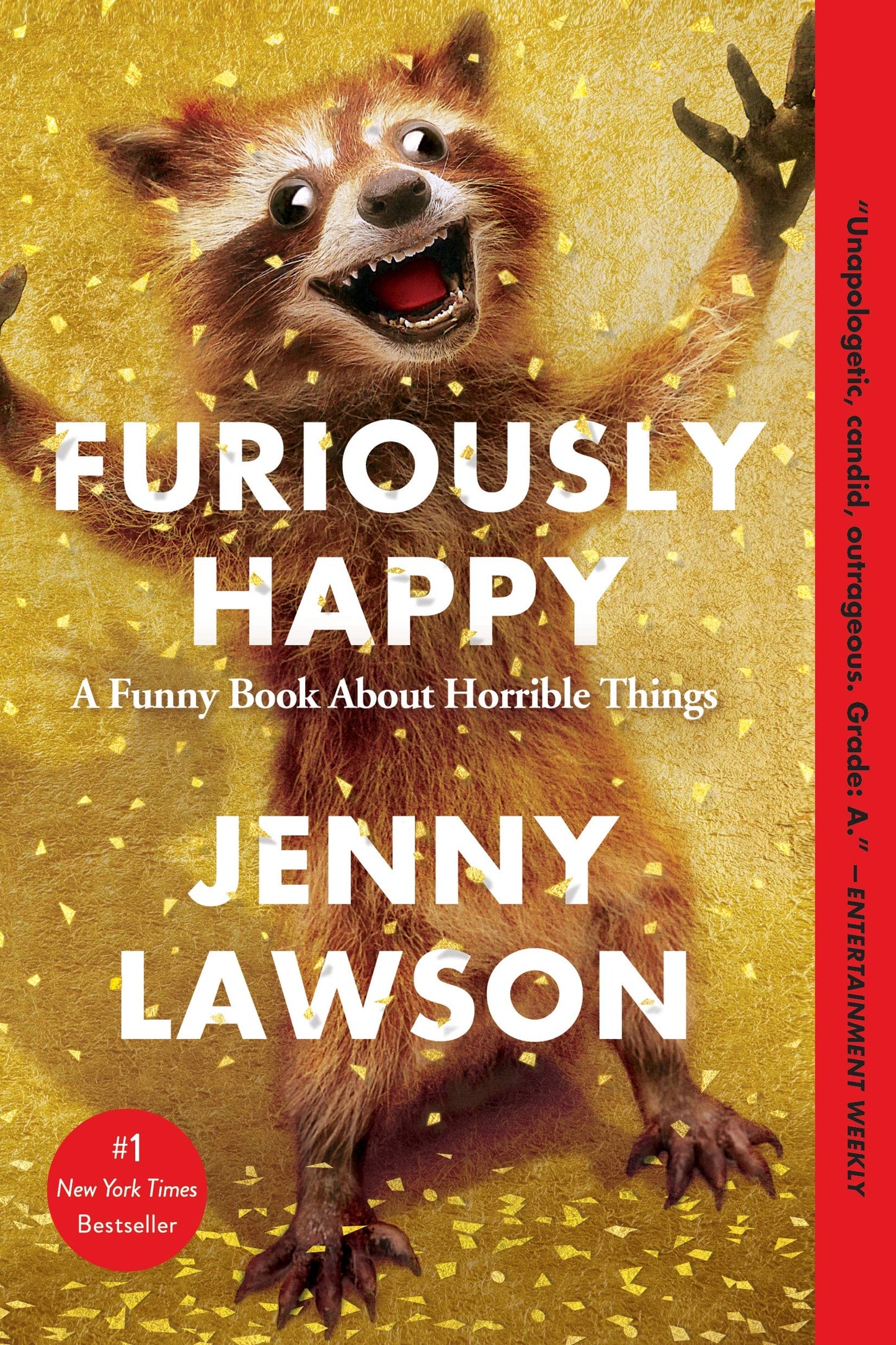 Furiously Happy The Happy Book Stack
