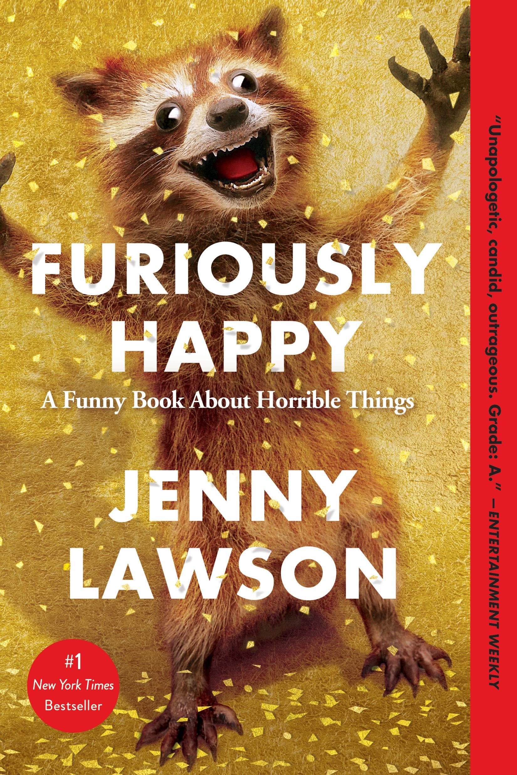 Furiously Happy The Happy Book Stack