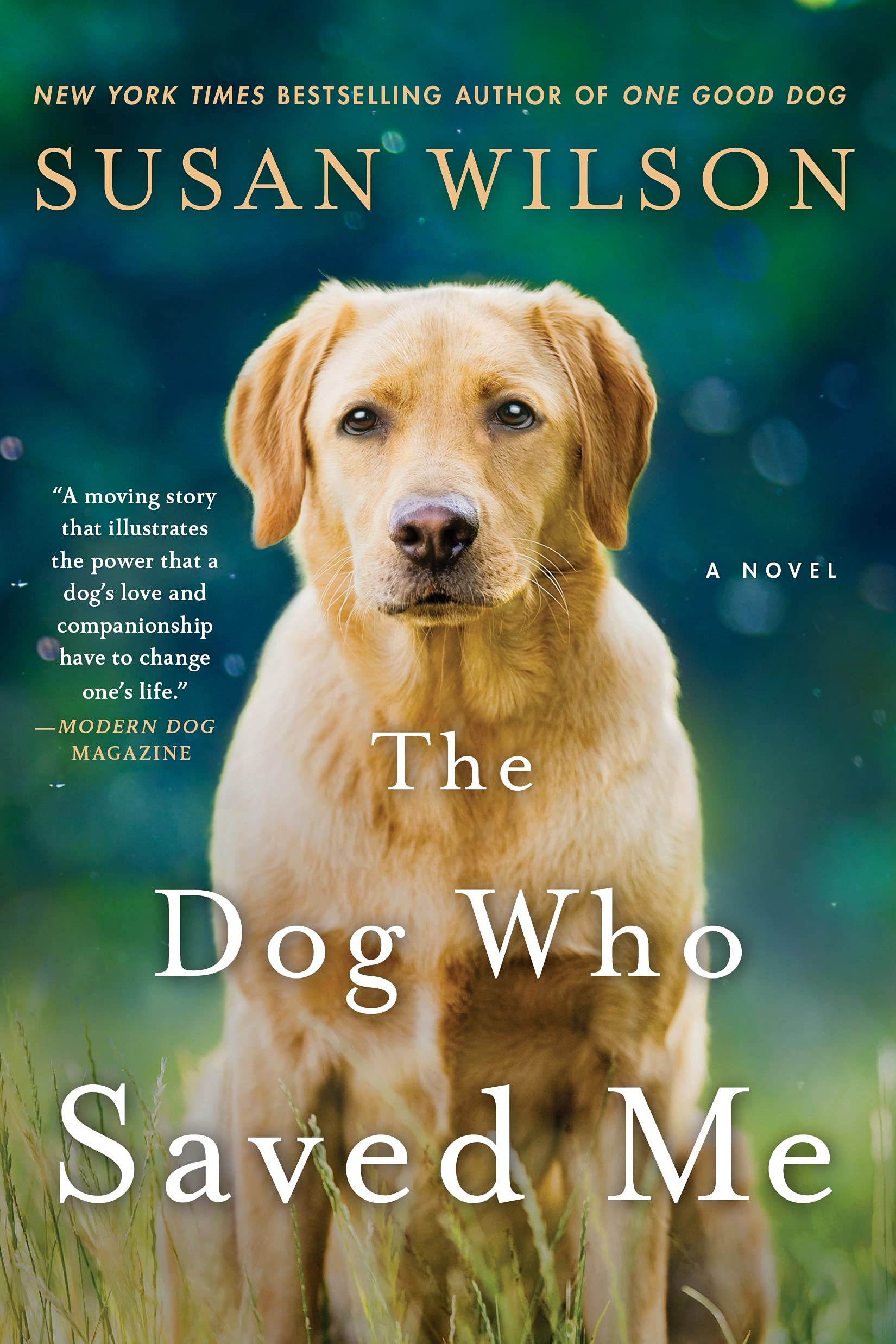 The Dog Who Saved Me: A Novel The Happy Book Stack